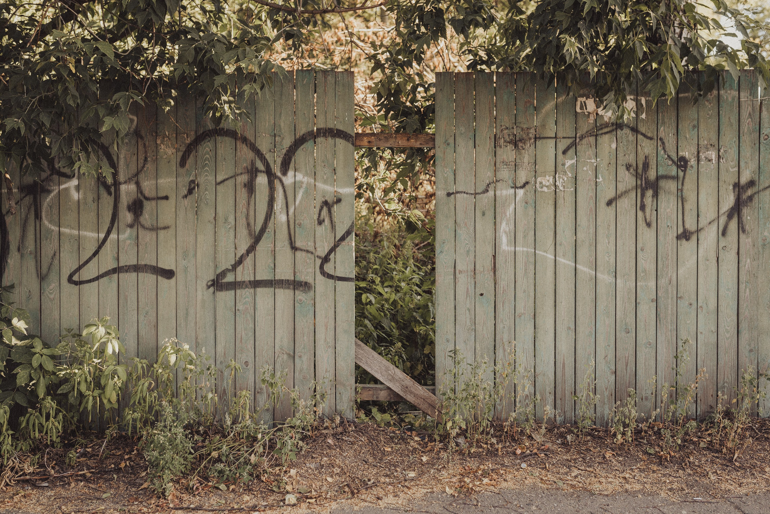 Проект #улицыгорода. Ярославль, улица Большая Фёдоровская. Документальный фотограф Илья Тихановский