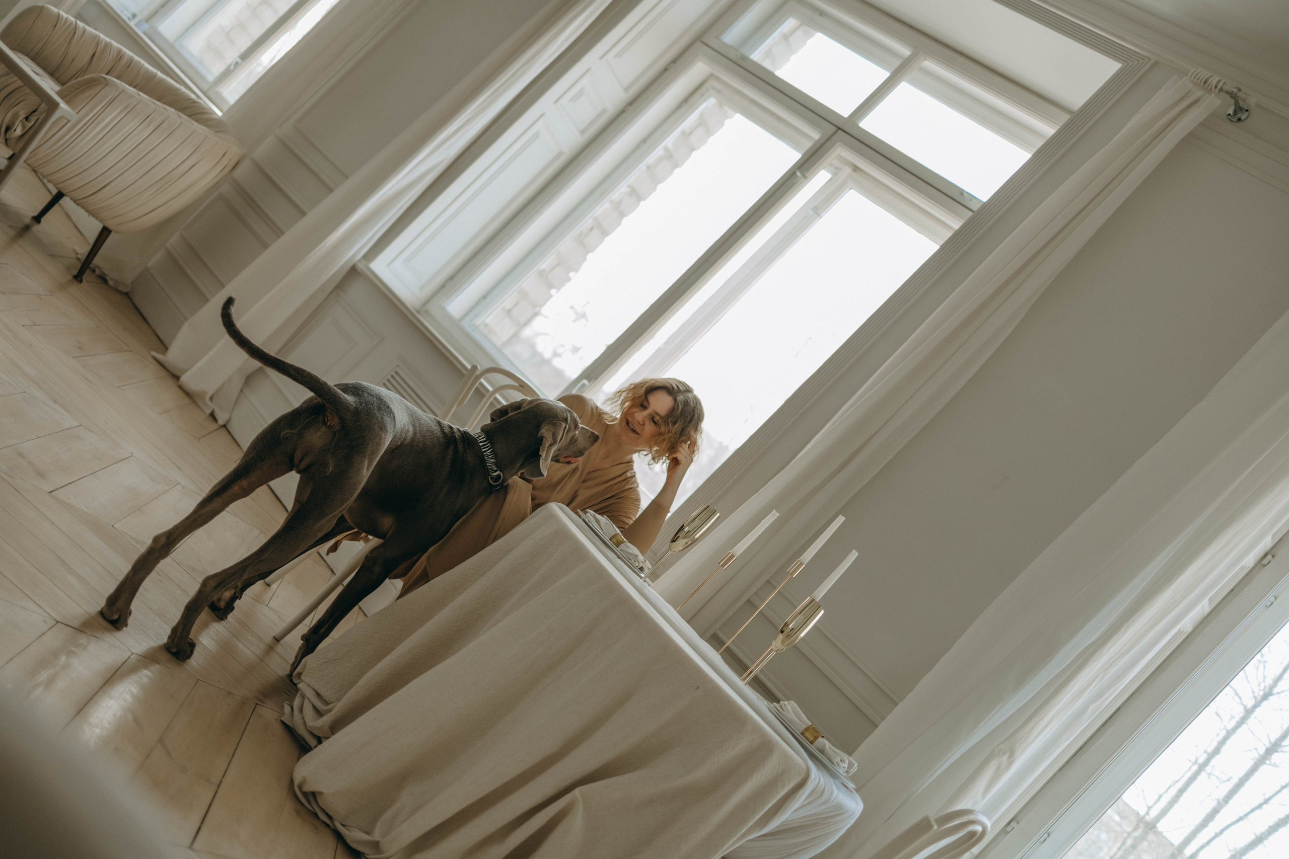 Фотосессия в студии с собакой. Фотограф-анималист в Екатеринбурге | Кристина