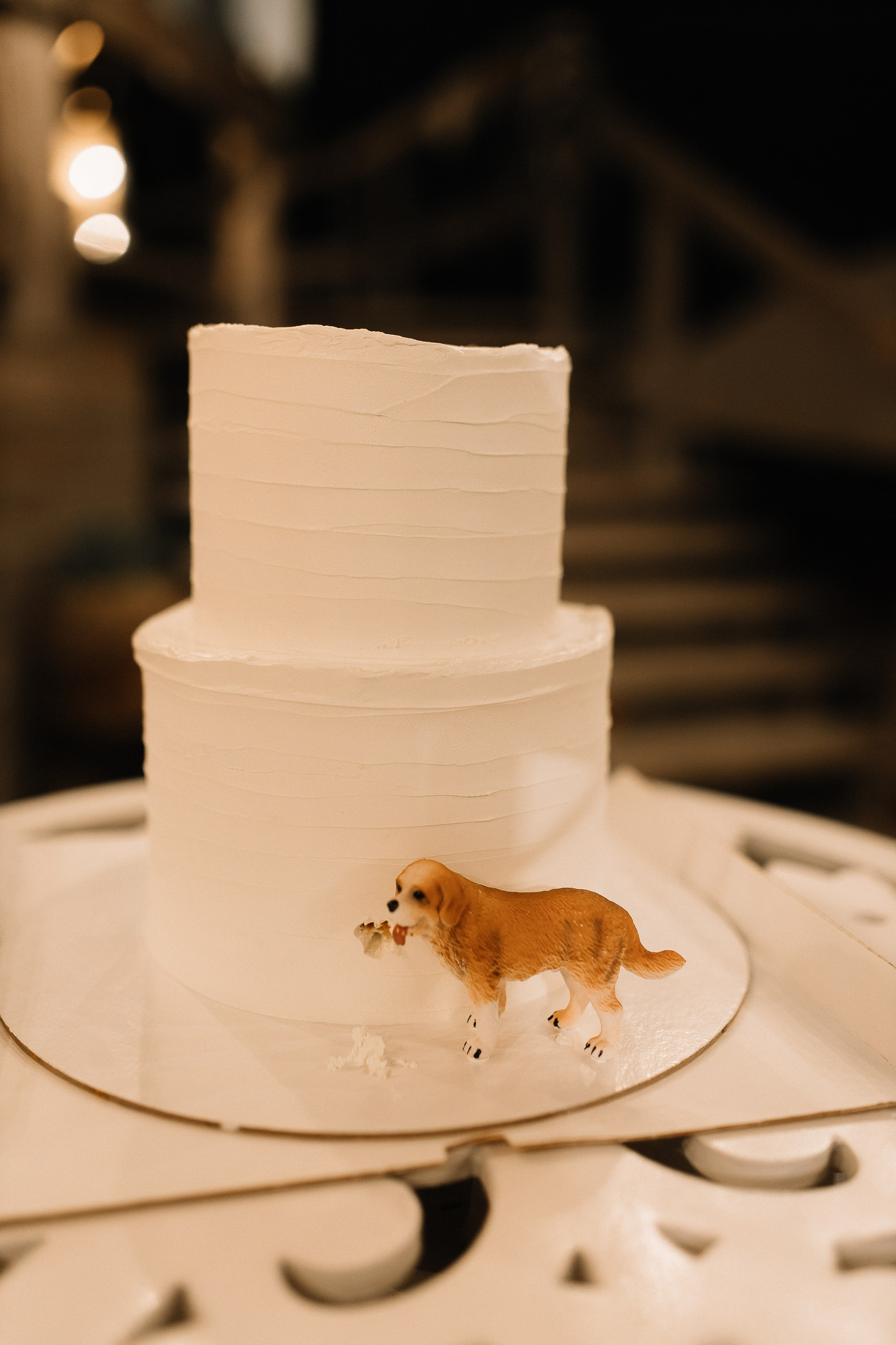 Камерные Свадьбы. Meryfotoidea