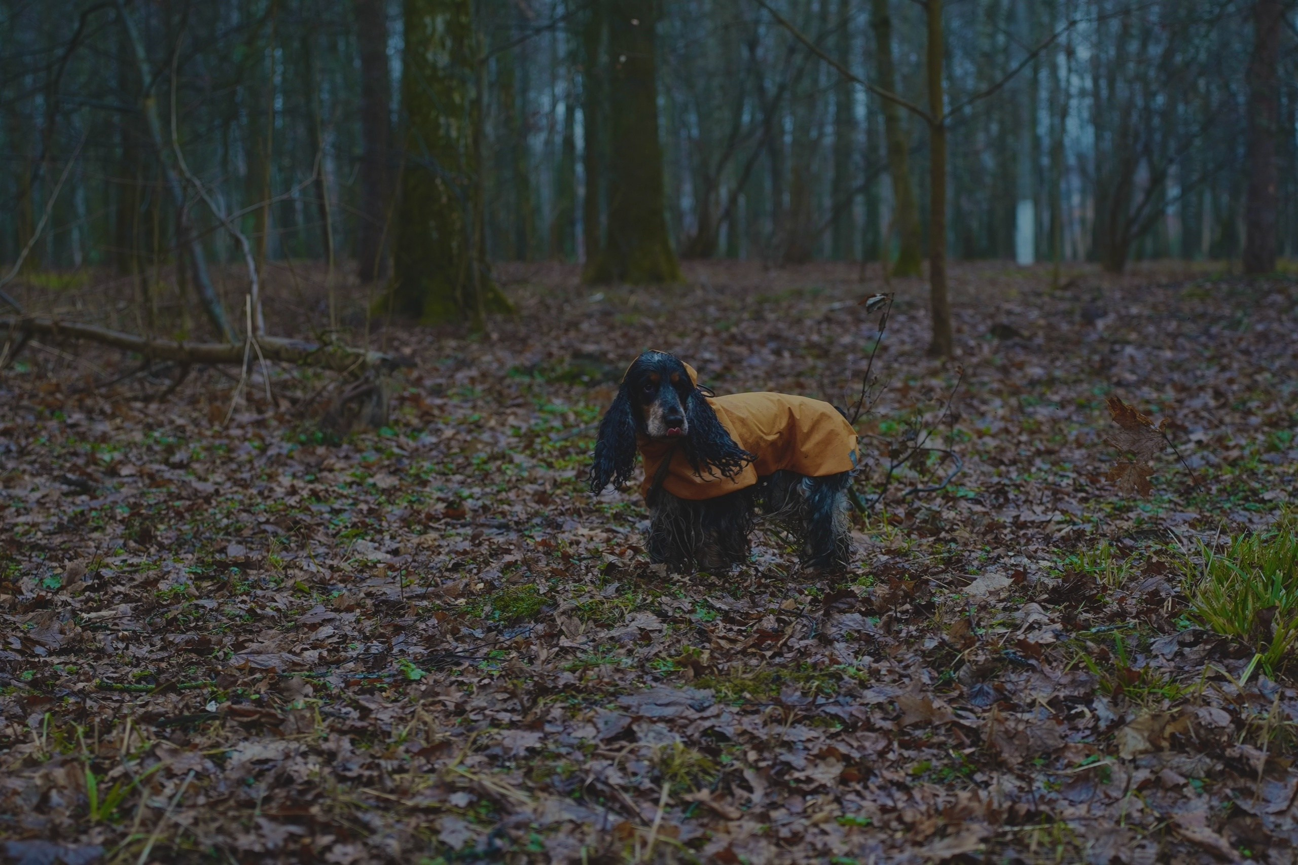 TIMYAN. Фотограф и визуальный художник в Туле / Николай Рейзвих
