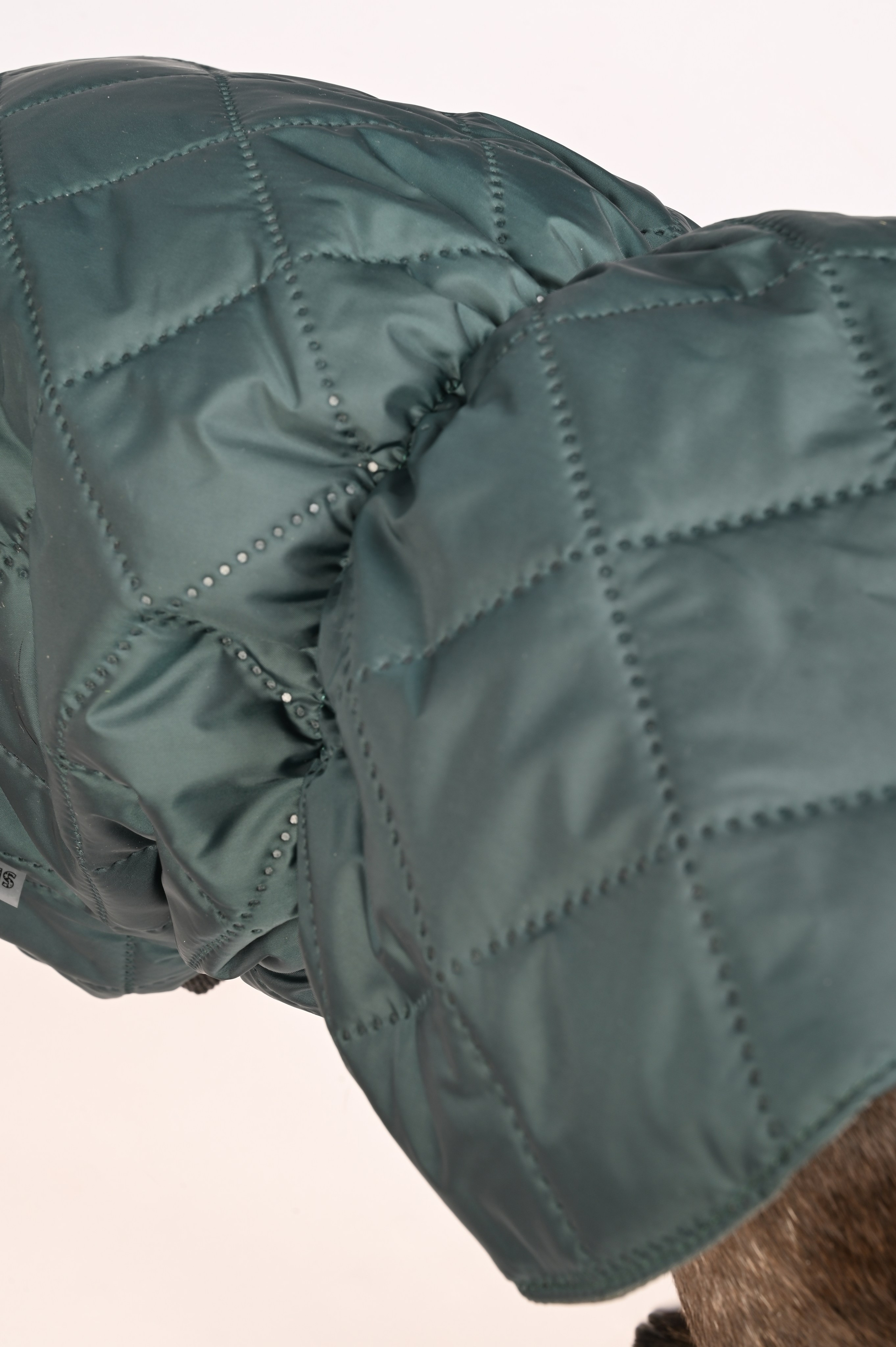 Одежда для собак. Семейный и детский фотограф во Фрязино, Ивантеевке и Щелково Матвеева