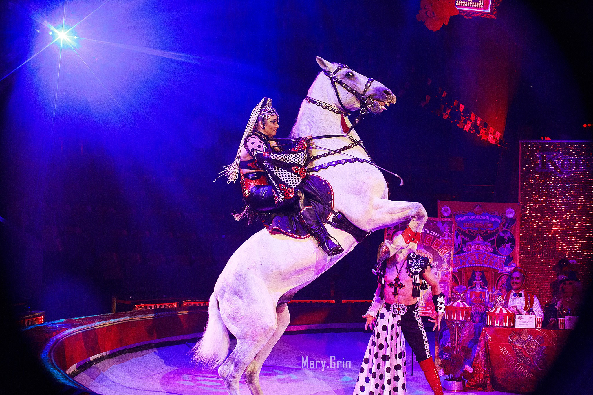Цирк Гии Эрадзе. Детский и семейный фотограф, фотограф мероприятий Нижний Новгород