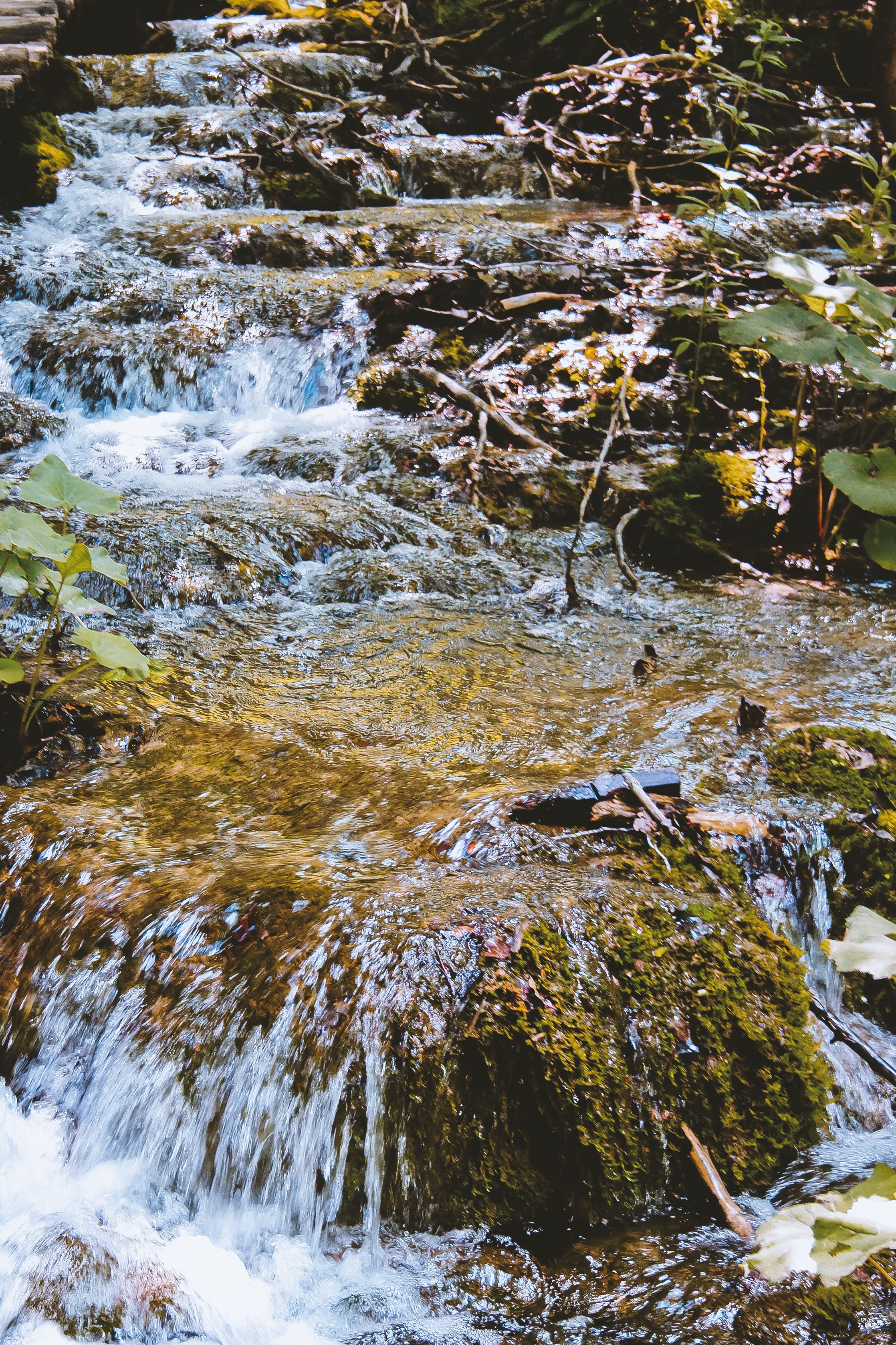 Хорватия: Плитвицкие озера. Дарья Письменюк / Darya Leitstern — фотограф, музыкант, журналист, путешественник