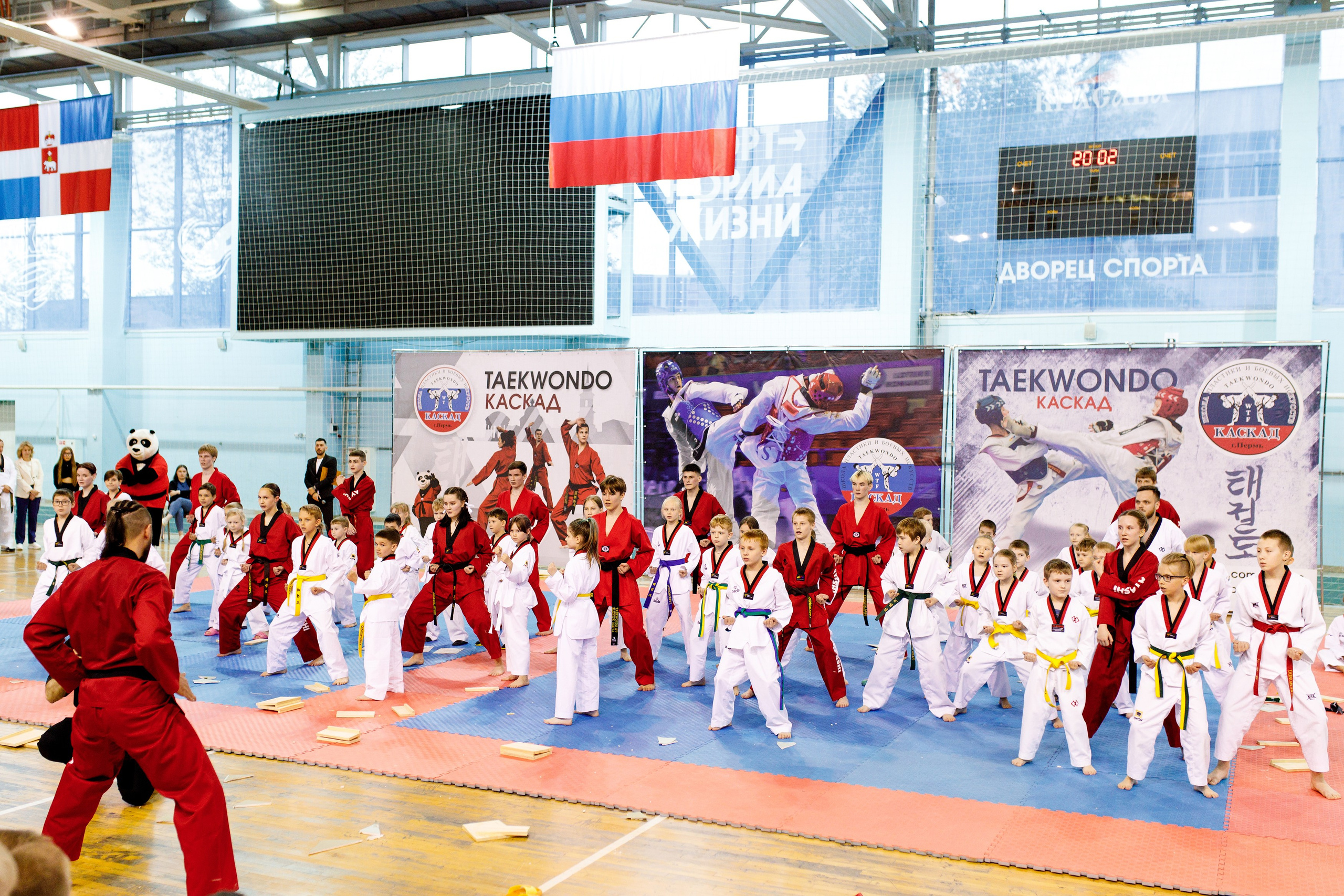Тхэквондо СК «Каскад». Фотограф Дмитрий Молчанов | Фотограф Пермь | Фотограф