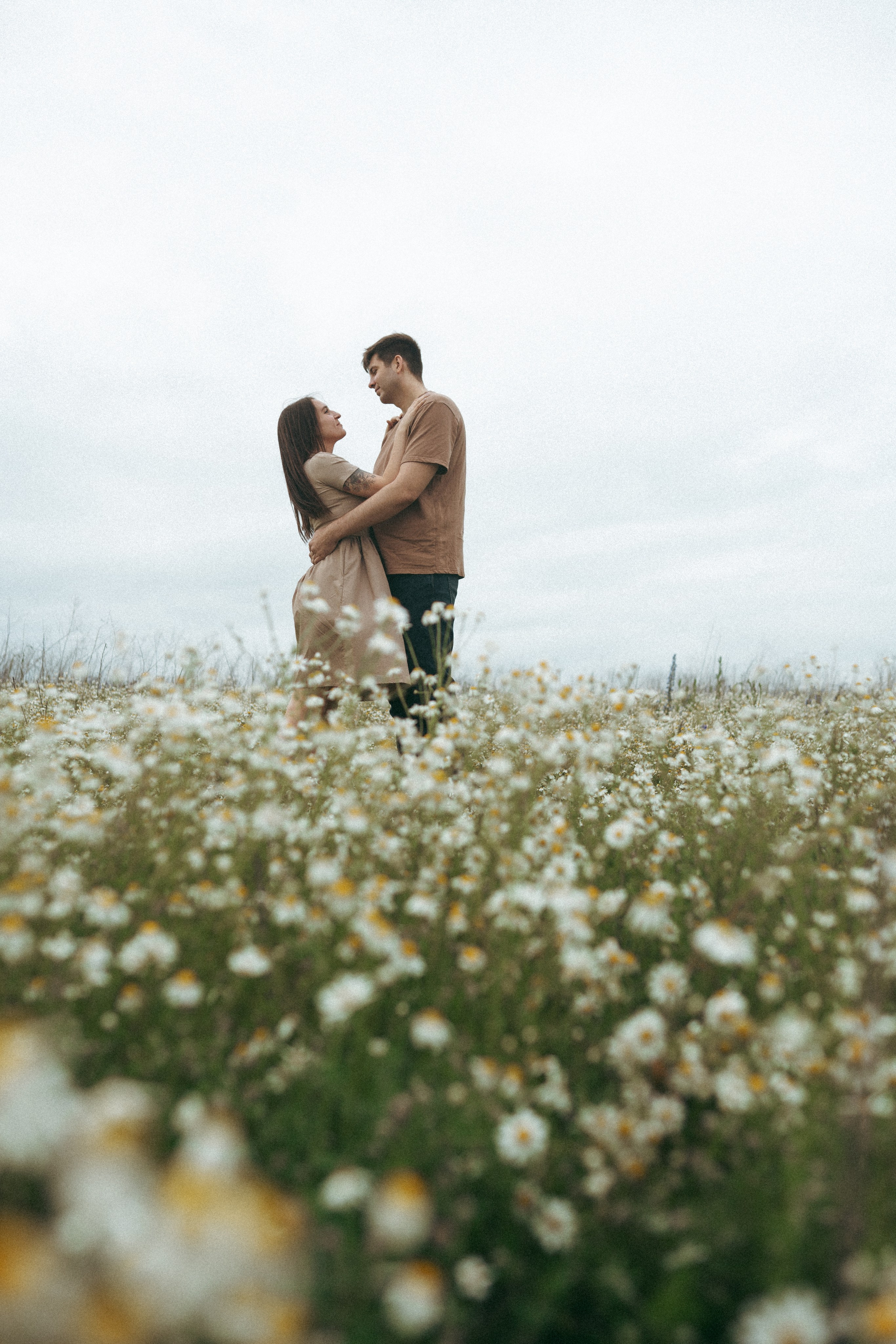 Ромашки. Фотограф Мария Зайчик