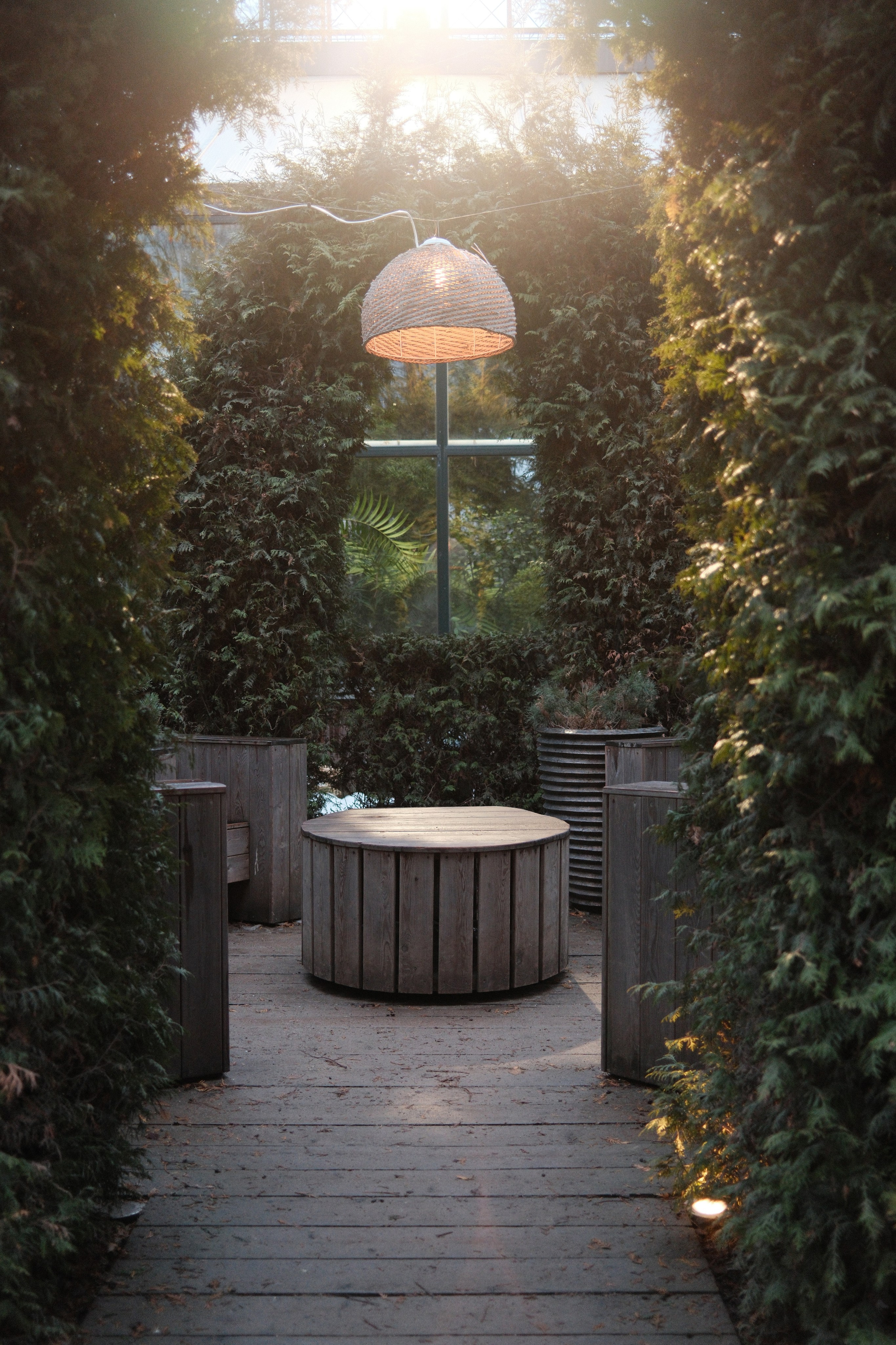 Аптекарский огород. Профессиональный фотограф в Москве Захар Ишутин