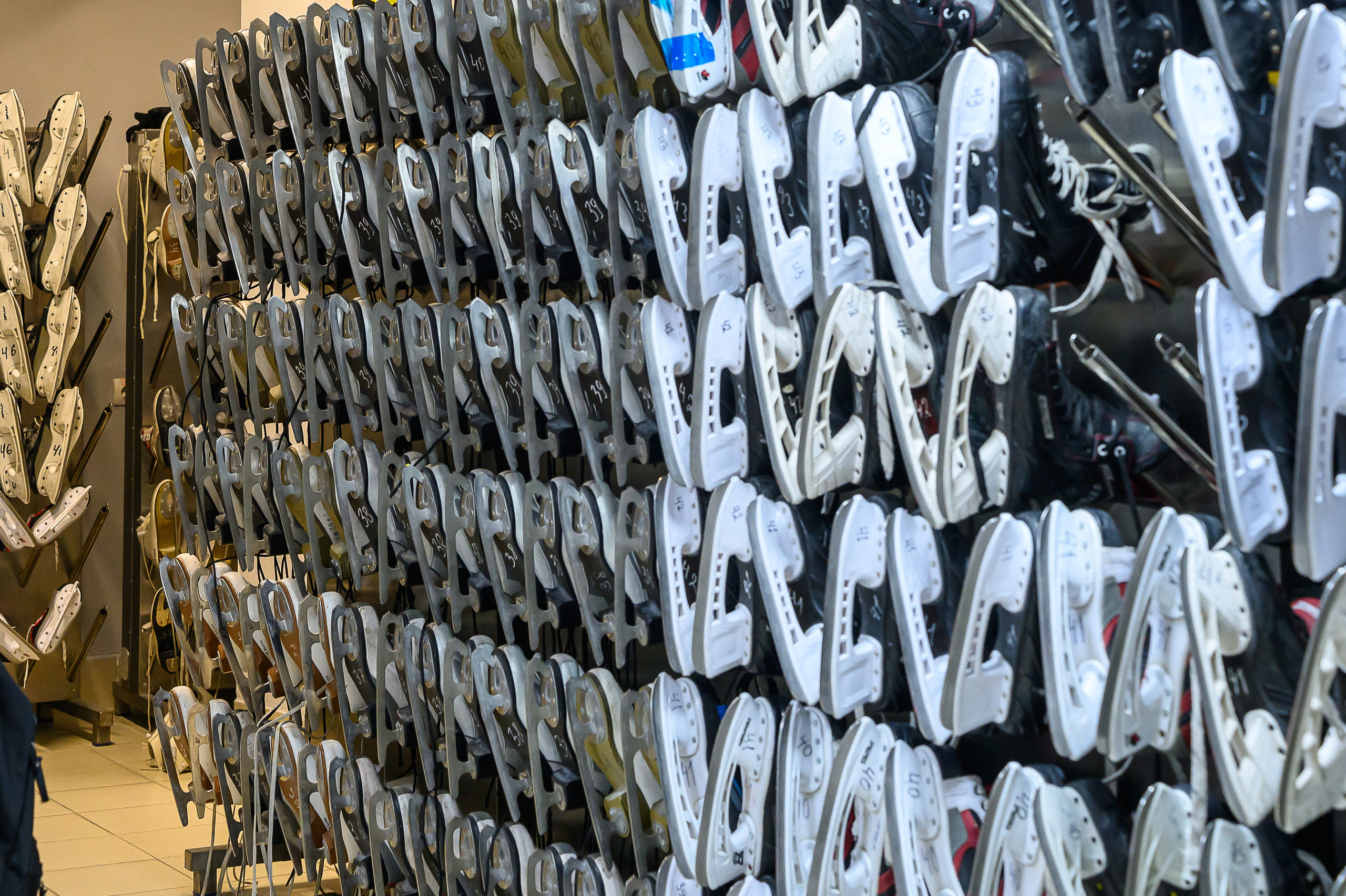 Зимняя спартакиада УД. Фотоуслуги, услуги фотографа, фотографирование важных событий