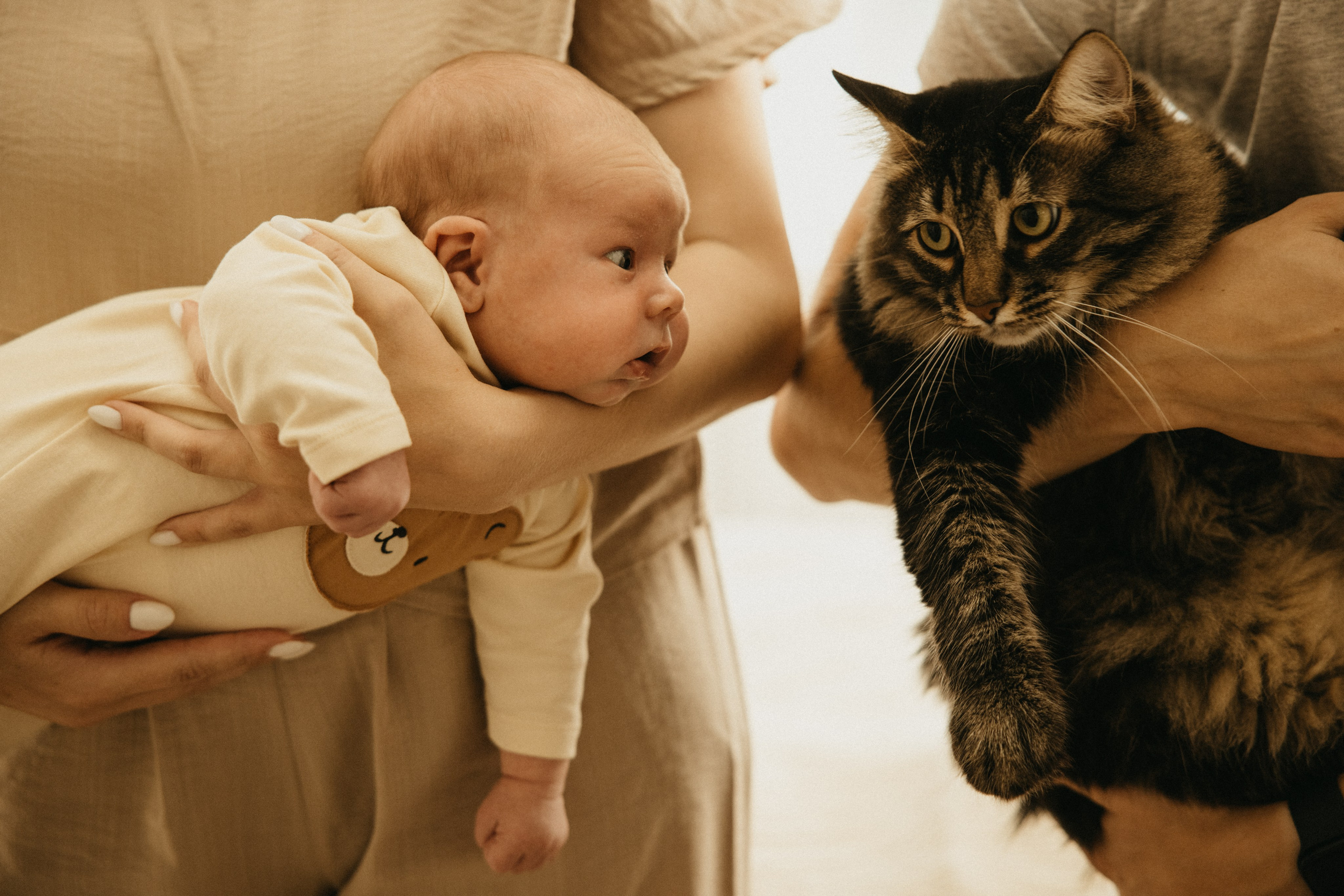 Домашняя съёмка