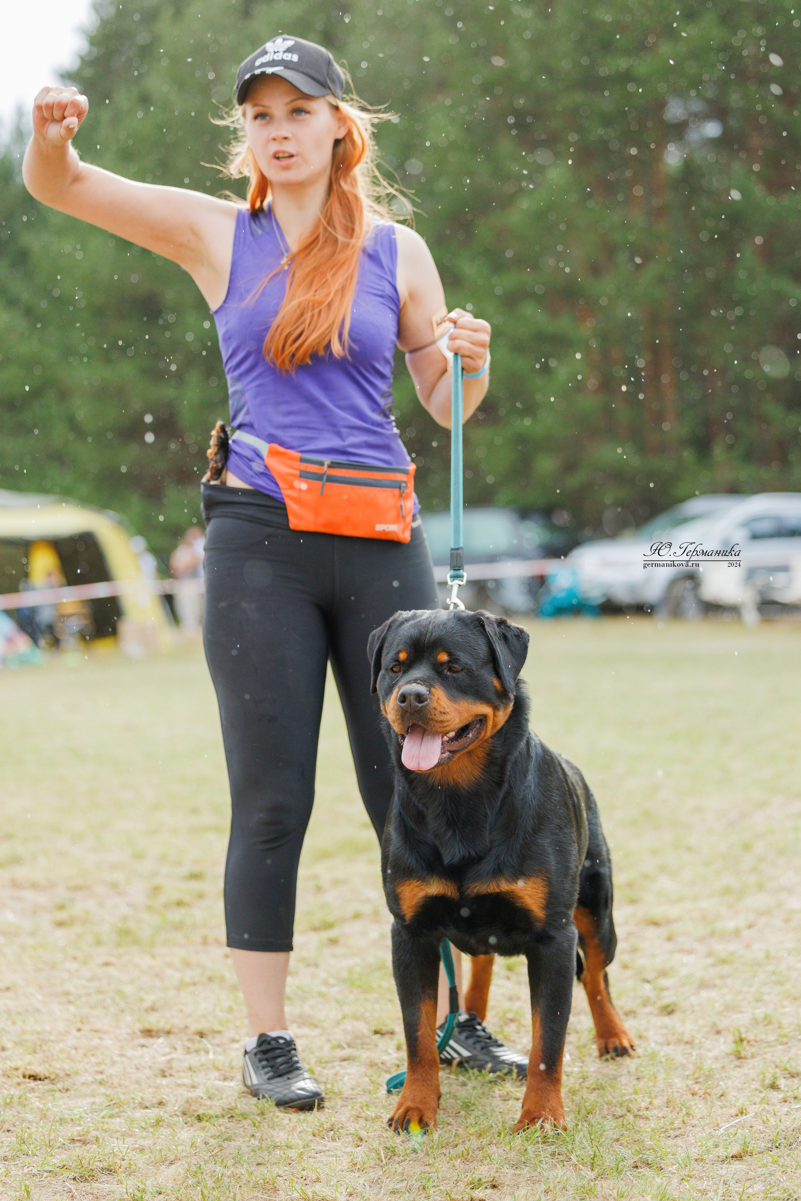 ПК и КЧК ротвейлеры Тверь 6-7.07.2024. Фотограф-анималист Юлия Германика