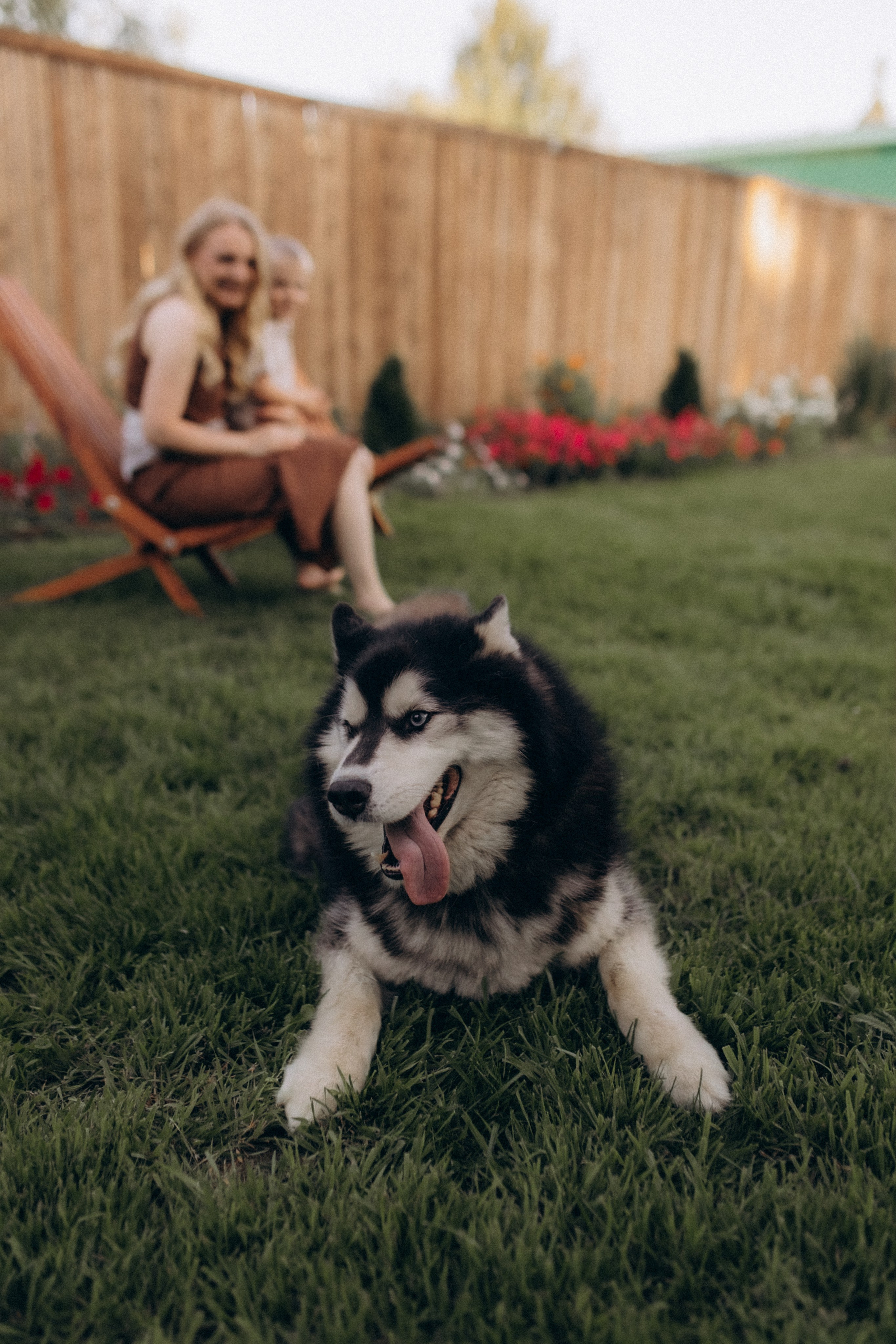 9.08 Кузнецовы. Семейный и домашний фотограф Советский Югорск Екатерина Цыганок