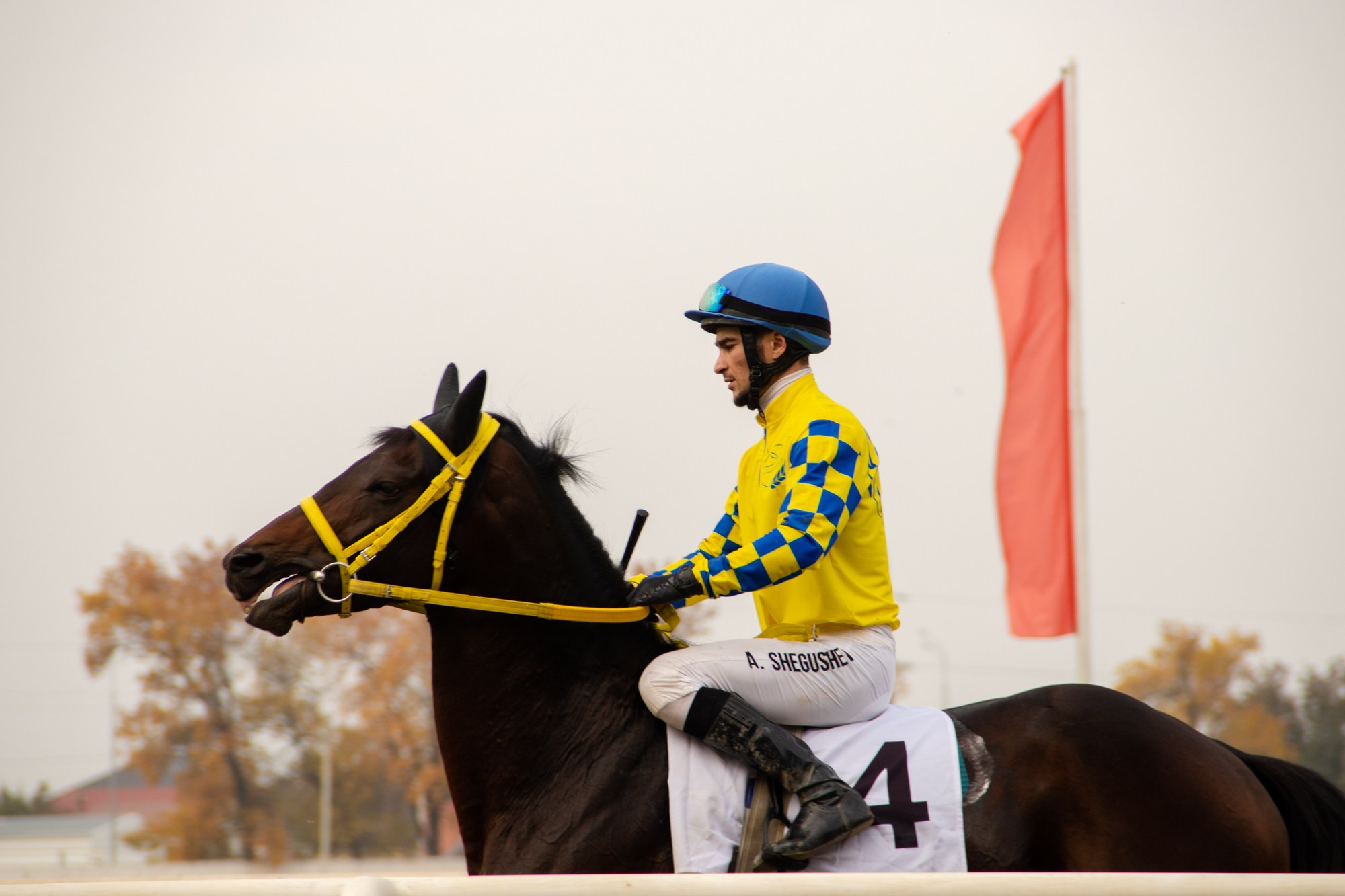 Закрытие скакового сезона на Краснодарском ипподроме. Репортажный, промышленный и маркетплейс-фотограф Дмитрий Чернат