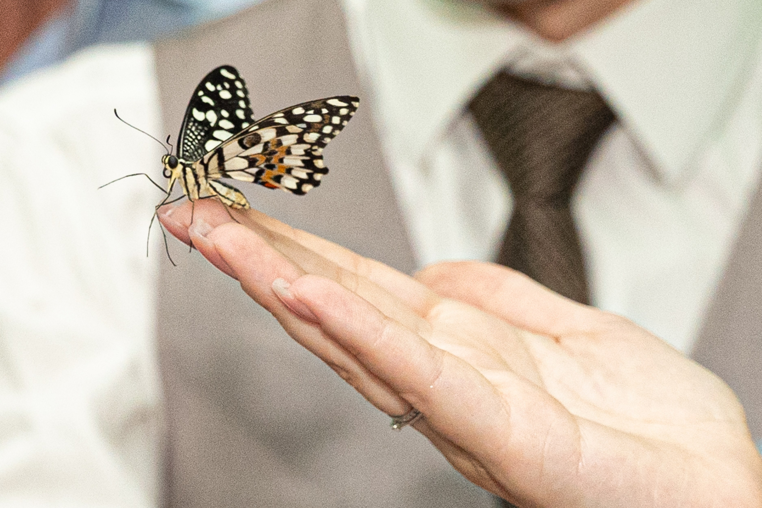 Егор & Виктория. Главная