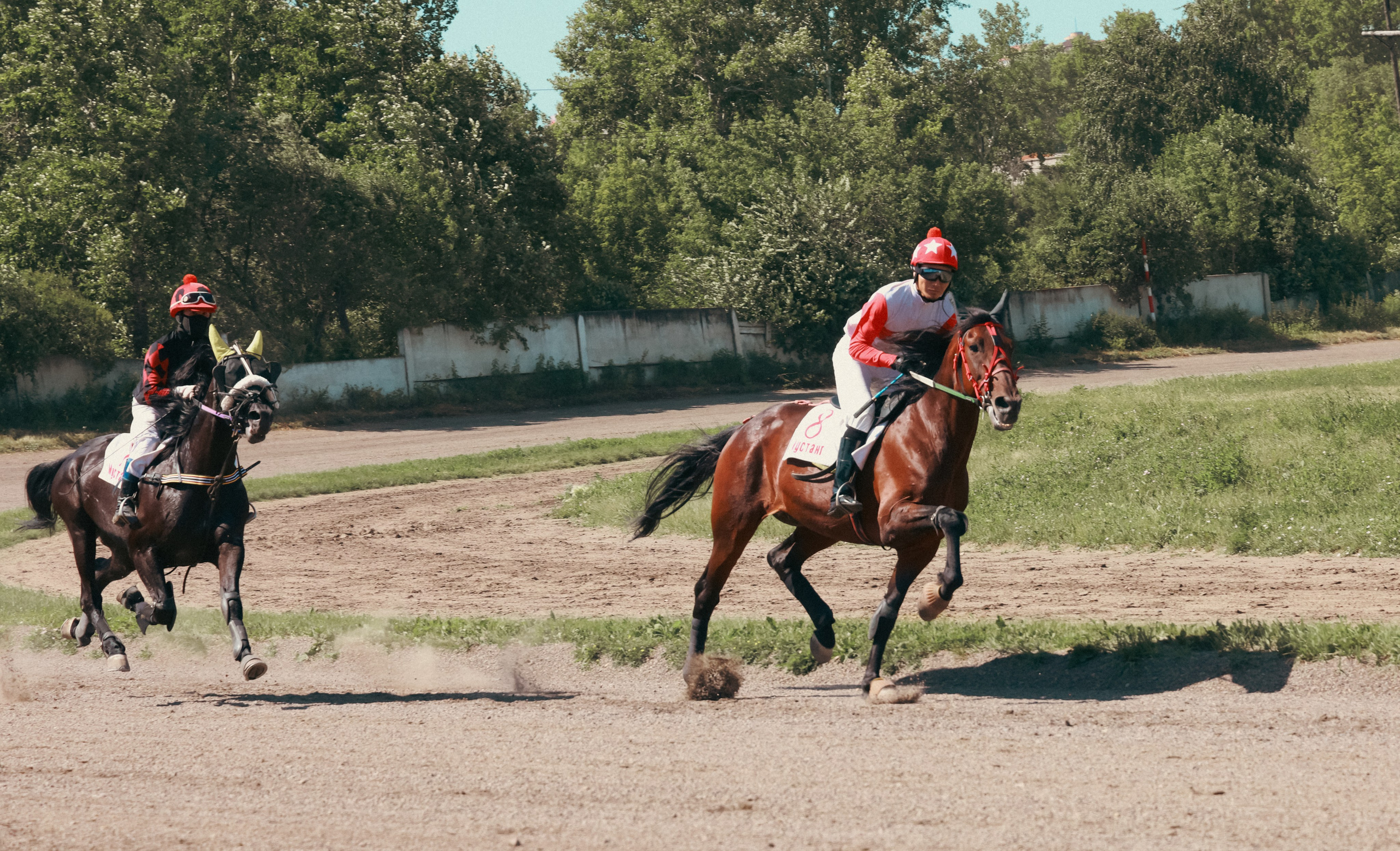 Мир вокруг нас. Разное. Фотограф Наталья Кузьмик г. Красноярск
