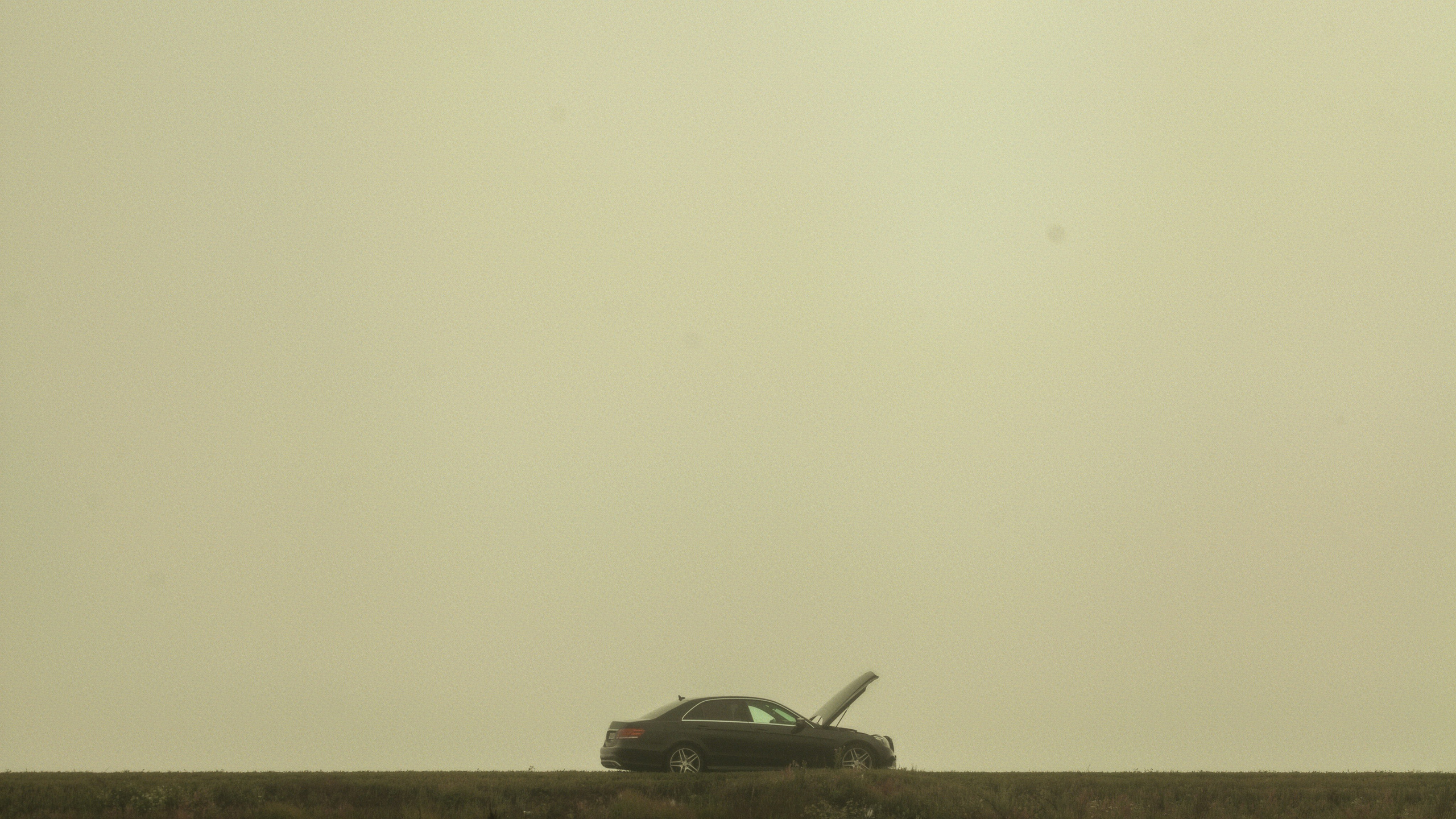 «Случайная встреча». Фотограф и Видеограф Артур Гимаев