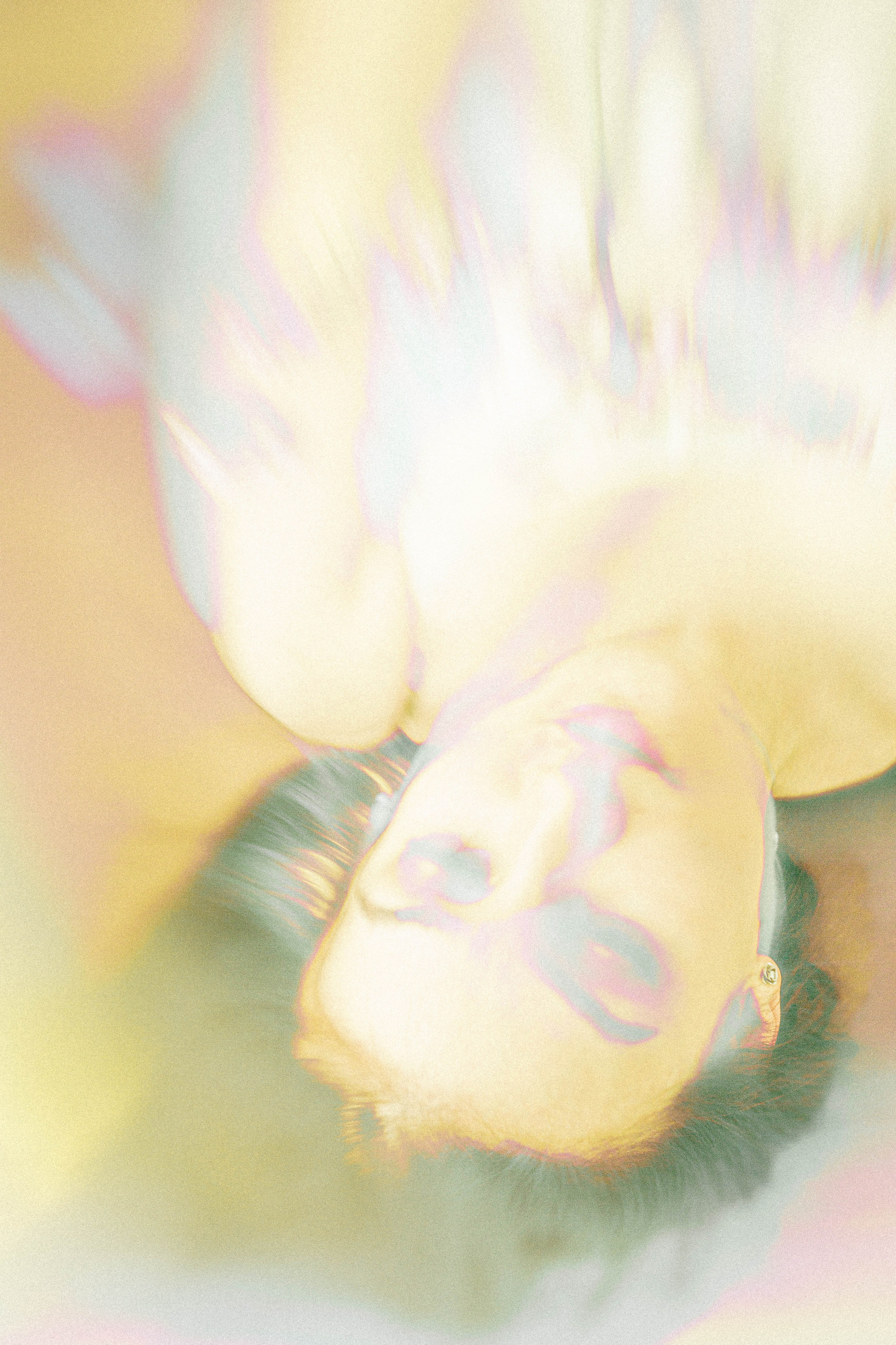 Татьяна, молодая мама. АННА ВЕРСО / ANNA VERSO | Визуальный художник / Visual artist