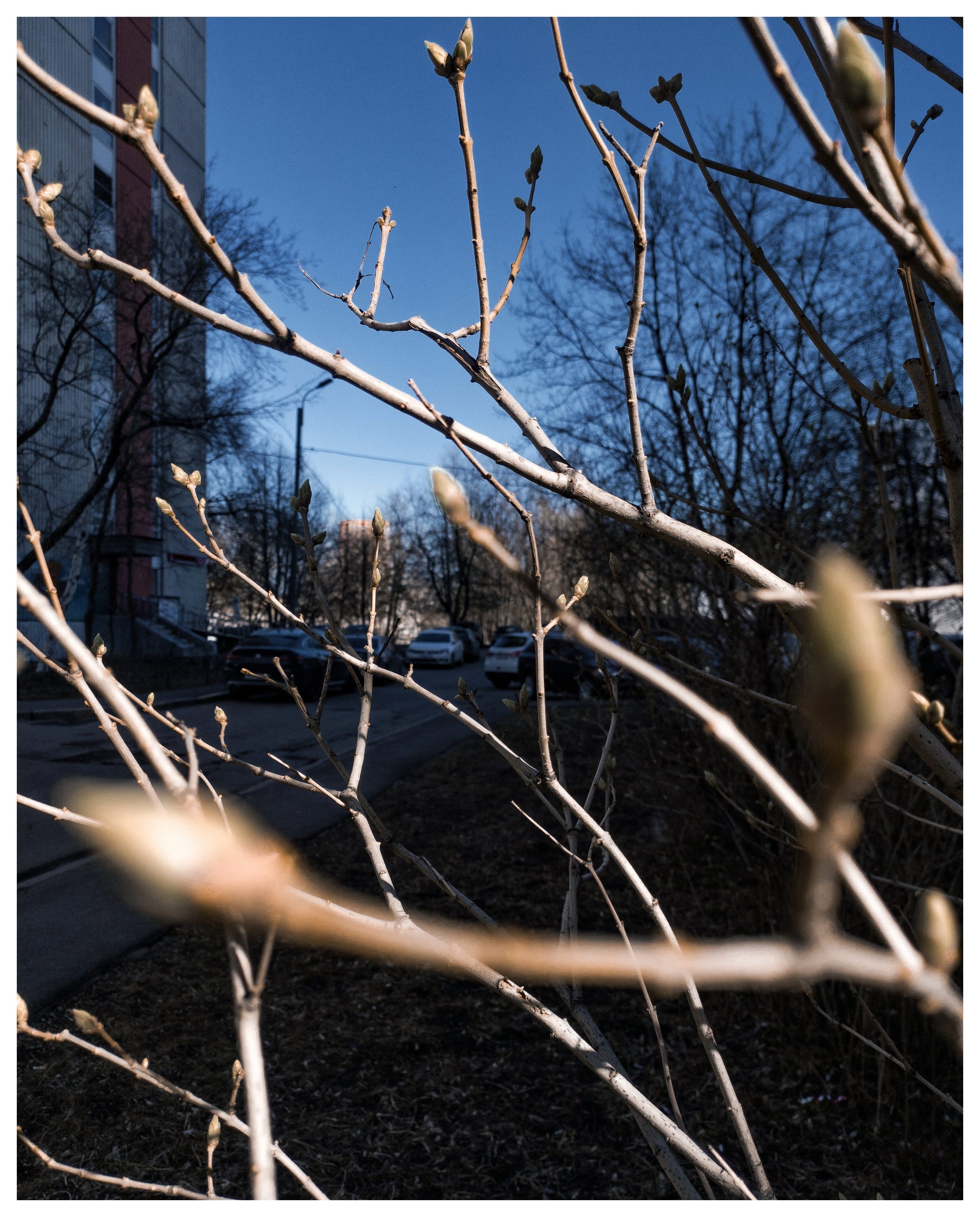 Мир повседневных Вещей. Репортажный и портретный фотограф, Влад Хафизов, Москва