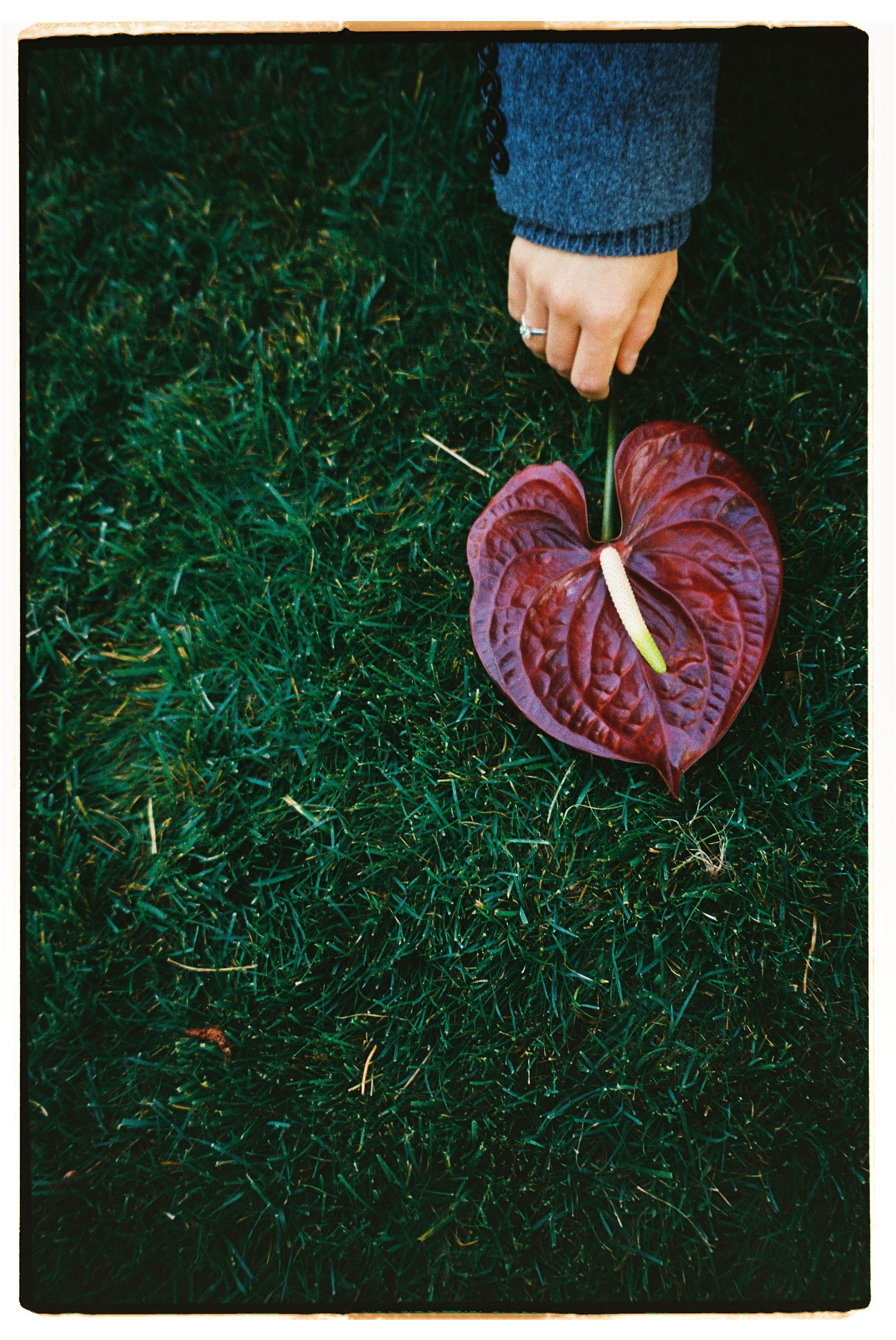 Wedding. Свадебный фотограф Ростов-на- Дону, Краснодар, Москва