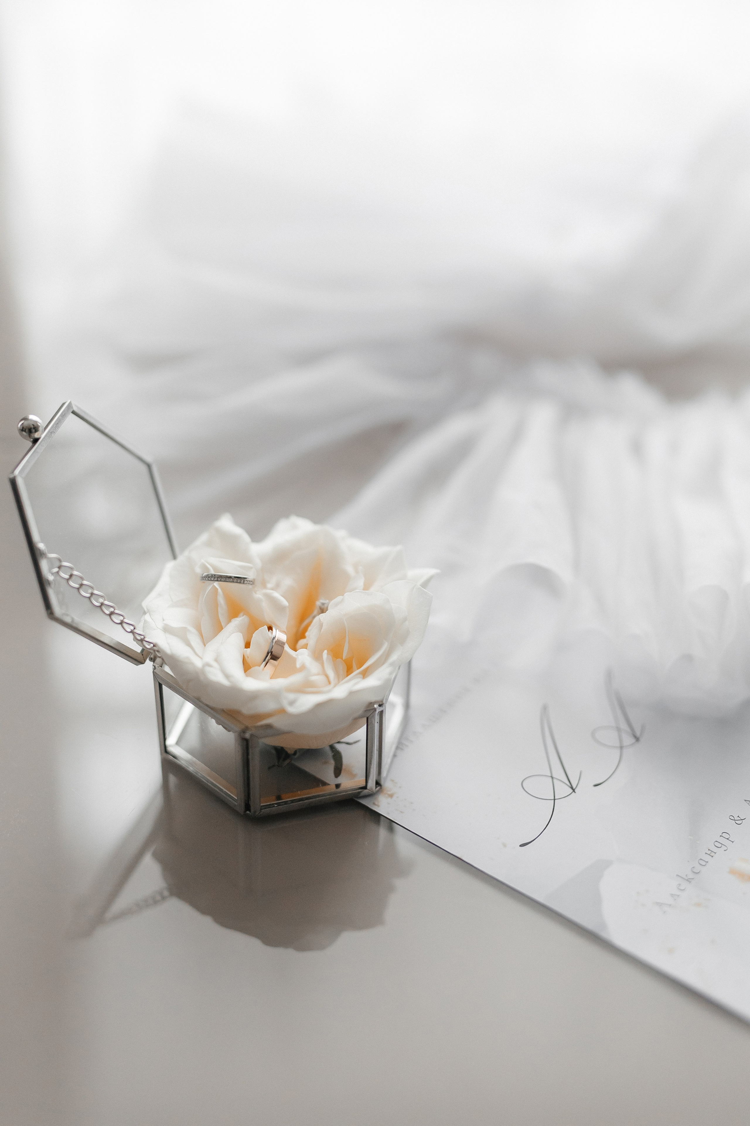 A&A. Фотограф Таганрог Хребет София