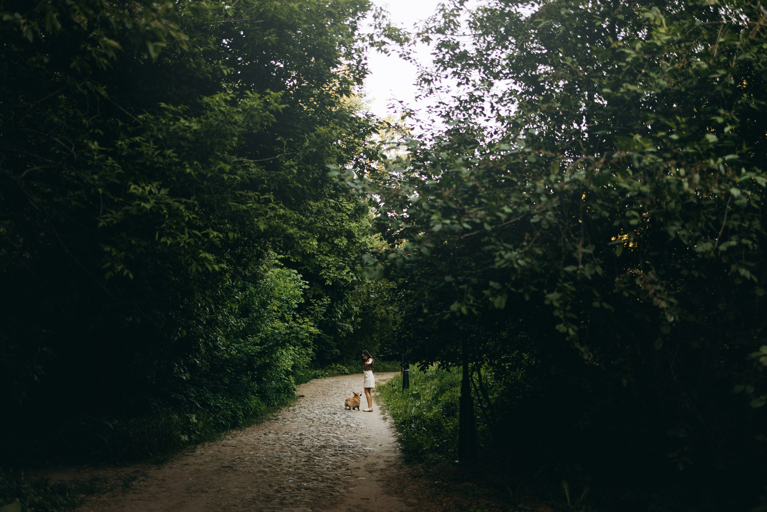 Кристина и Шелби. Фотограф — Анималист | Санкт-Петербург