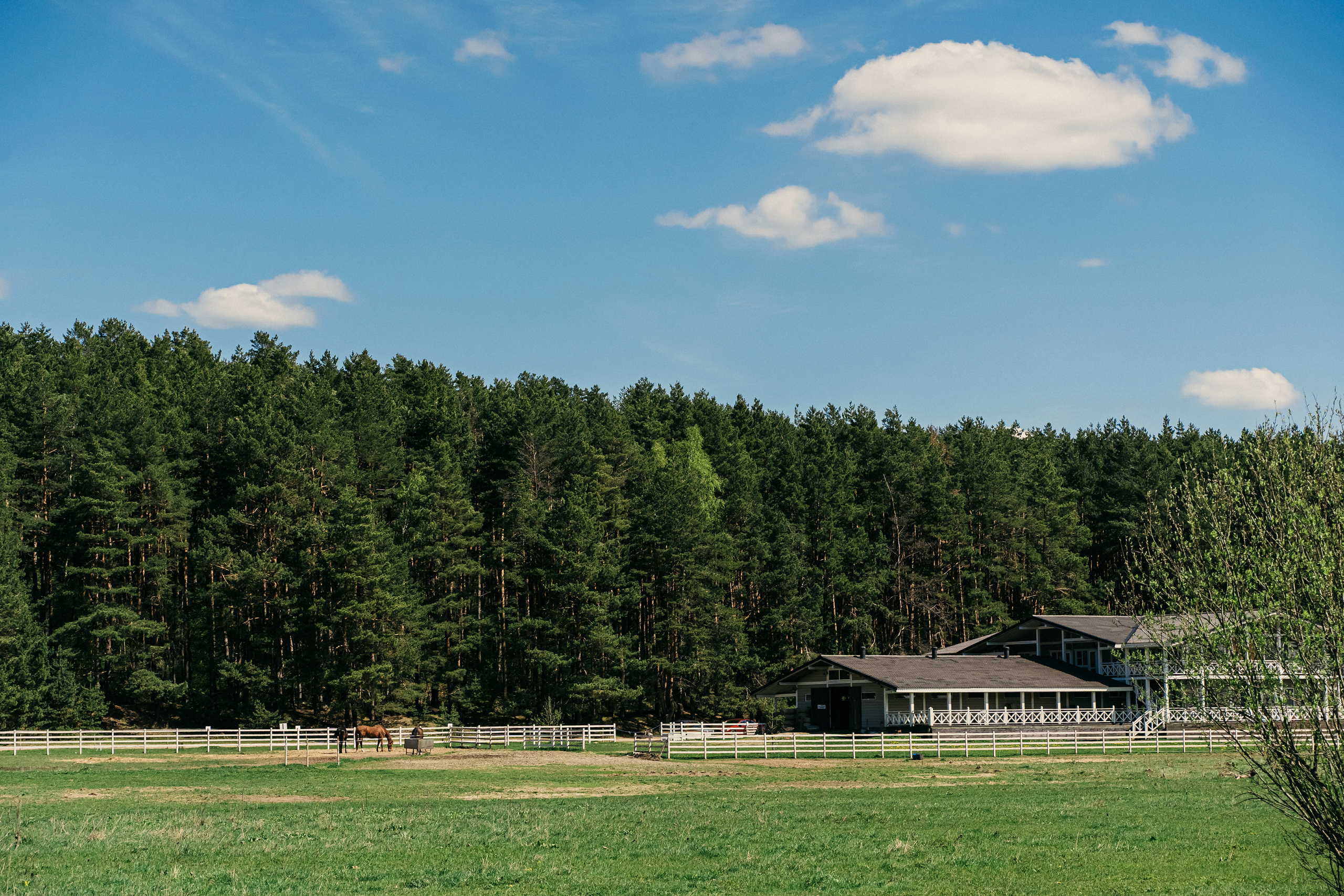 Атмосфера в Pineriver (зима/лето). Фото и видео для бизнеса Обнинск, Калуга, Москва
