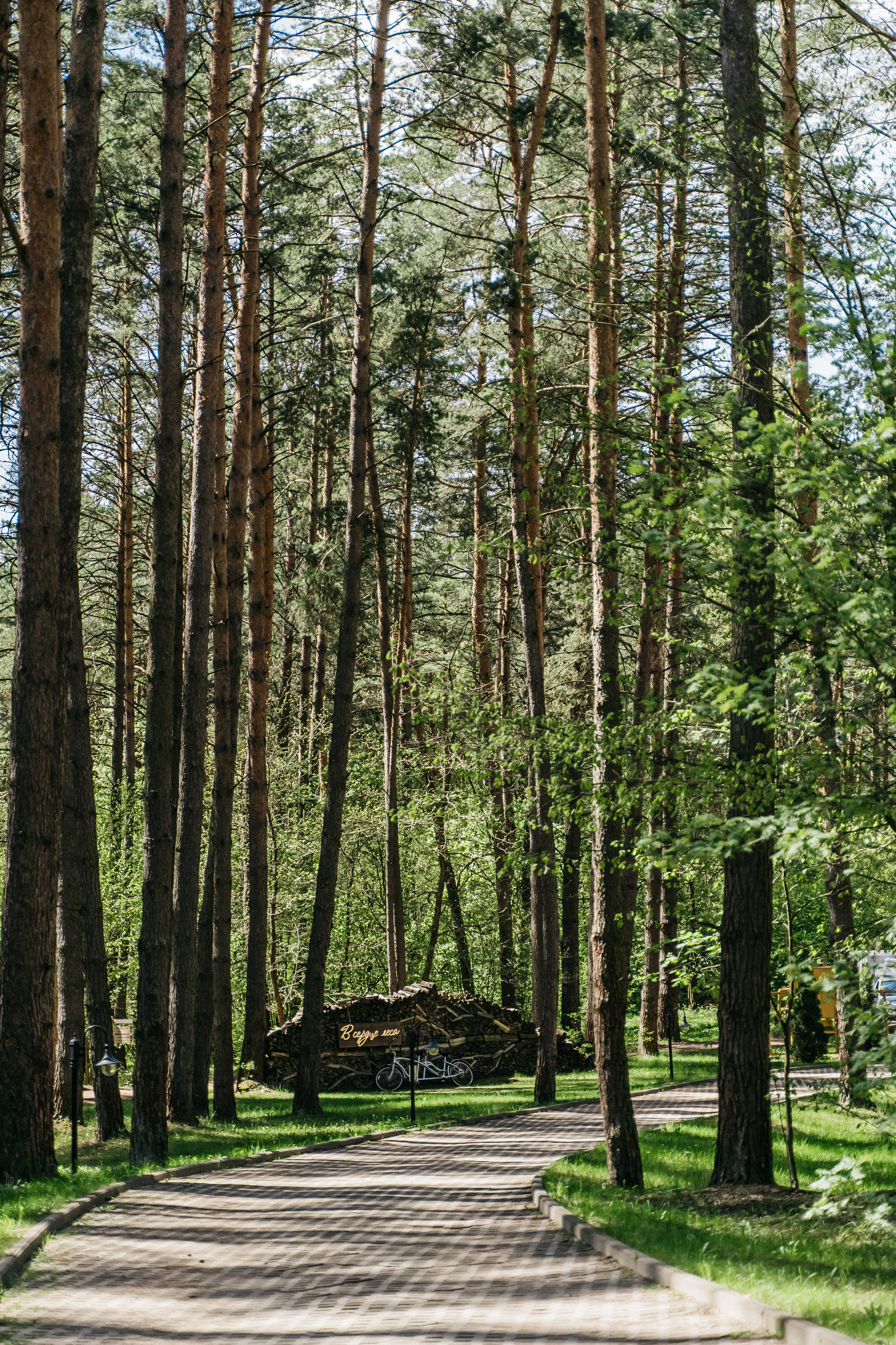 Атмосфера в Pineriver (зима/лето). Фото и видео для бизнеса Обнинск, Калуга, Москва