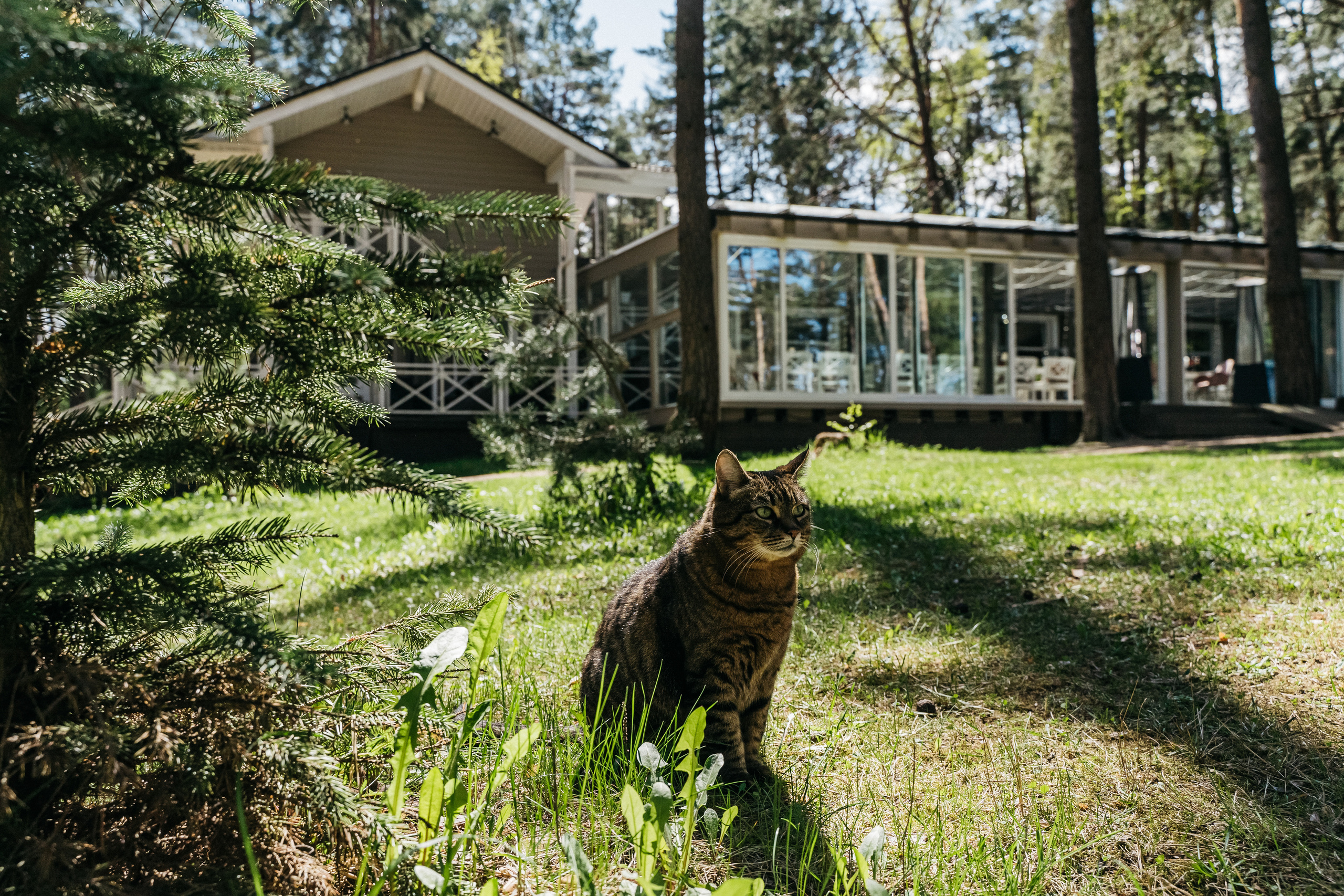 Атмосфера в Pineriver (зима/лето). Фото и видео для бизнеса Обнинск, Калуга, Москва