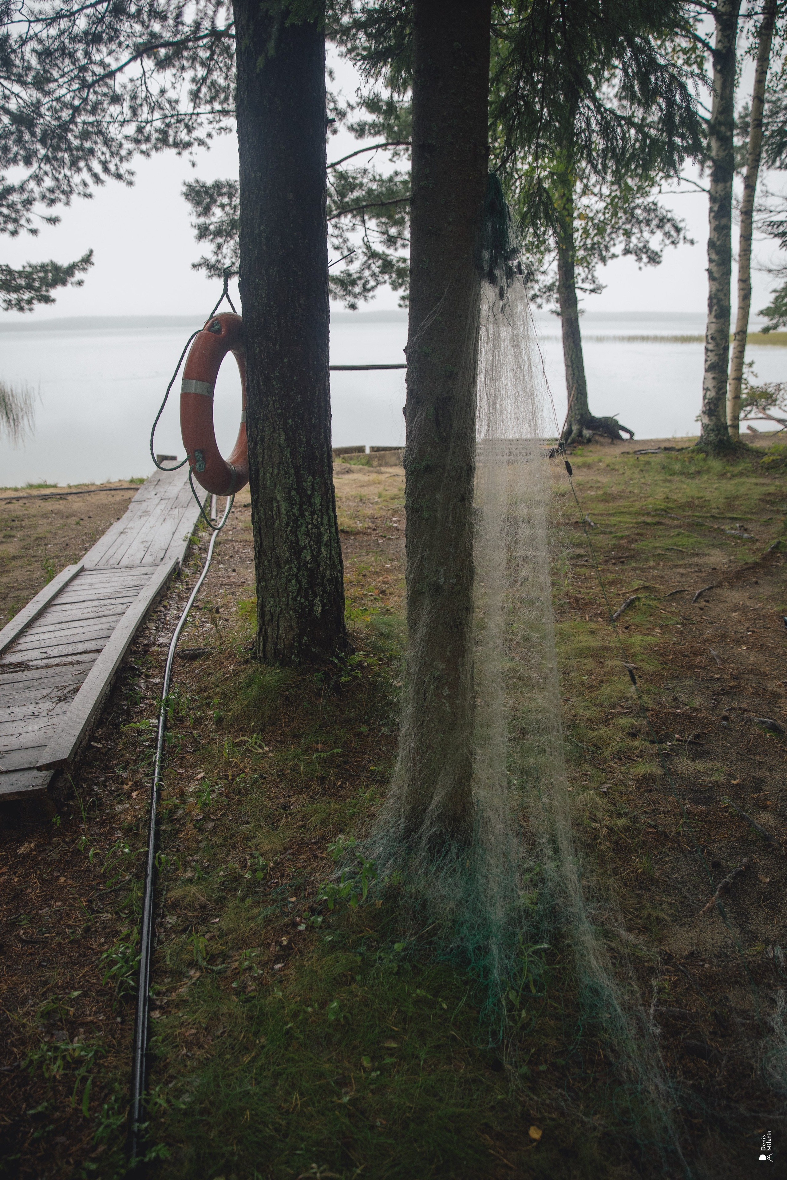 Женский Митрофаниевский скит Важеозерского мужского монастыря. Портретный фотограф Денис Милютин