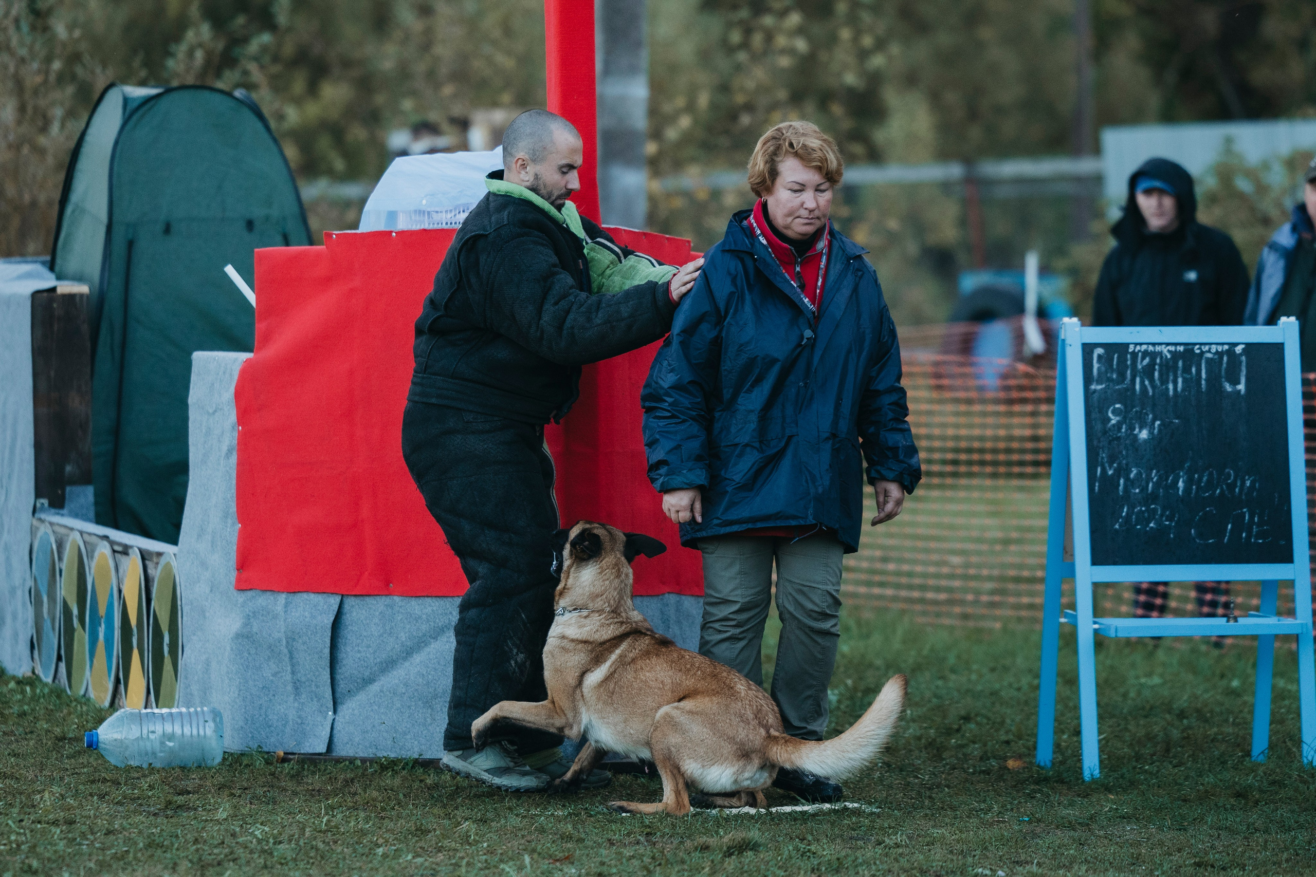 Испытания по мондьорингу г. Пушкин 29.09.2024. Фотограф-анималист Анна Маринич