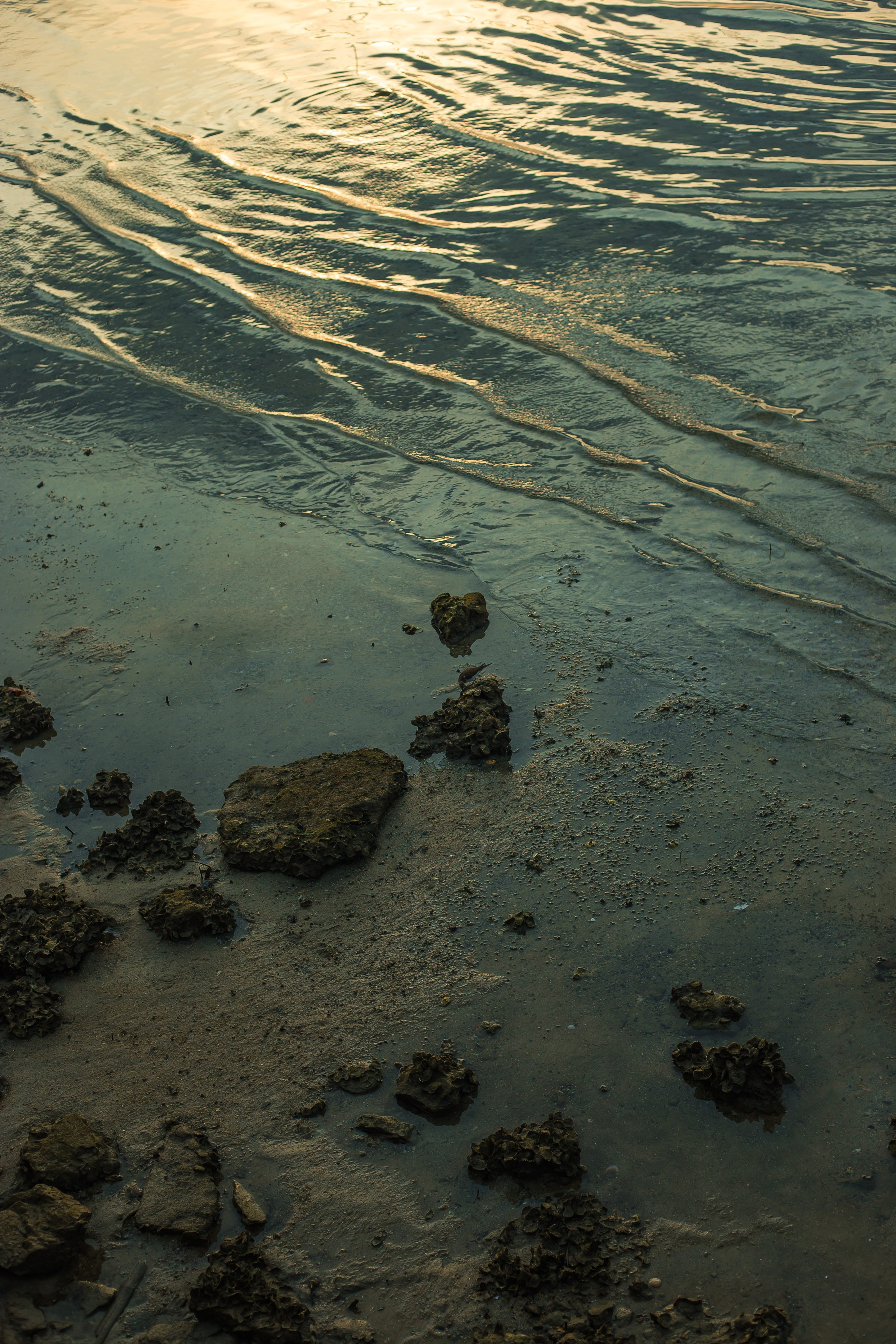 Thailand 2023, Samui. Art Photographer