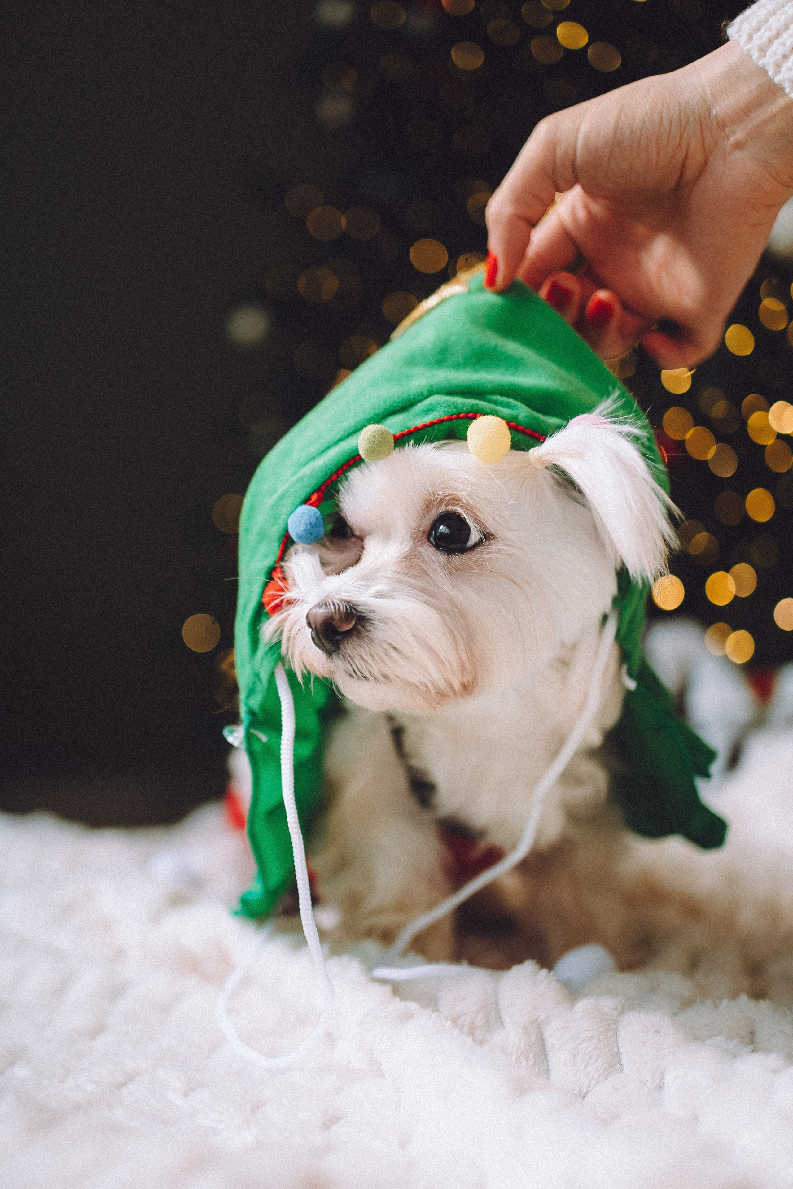 Констанция и Молли