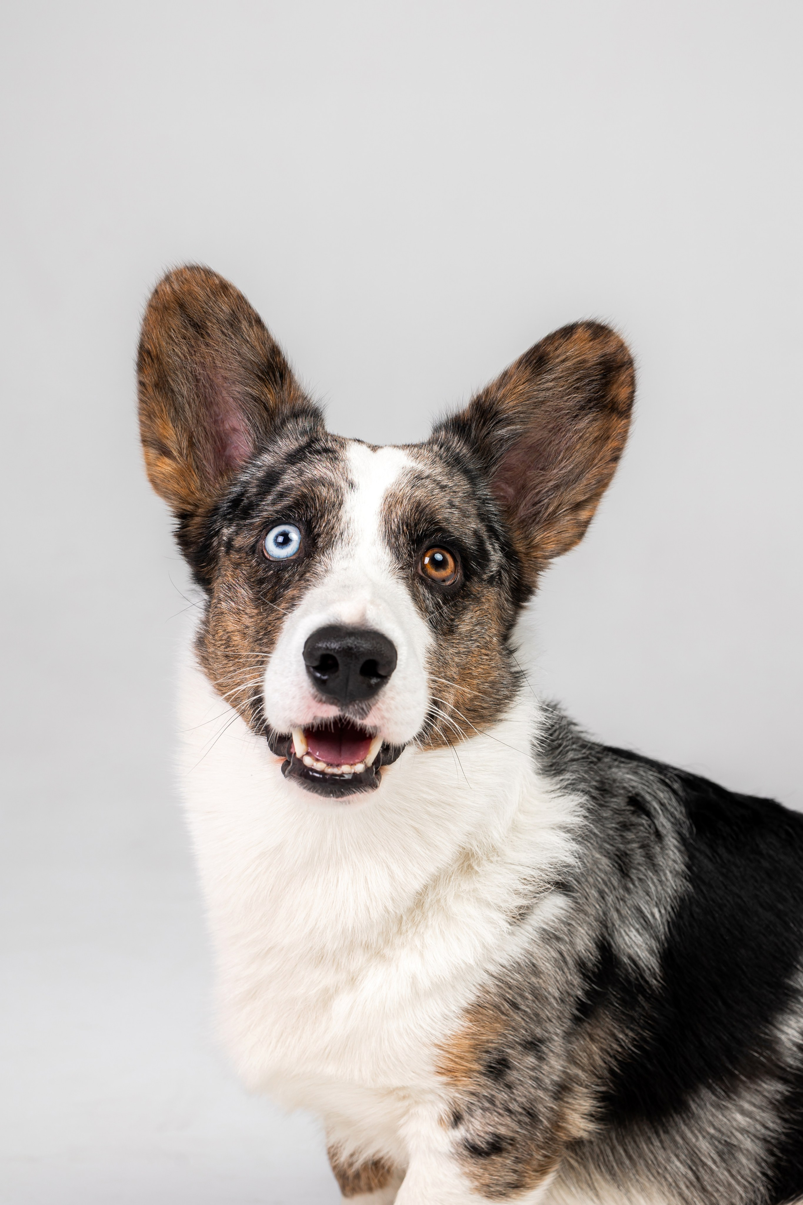 Анатолий и Рагнар