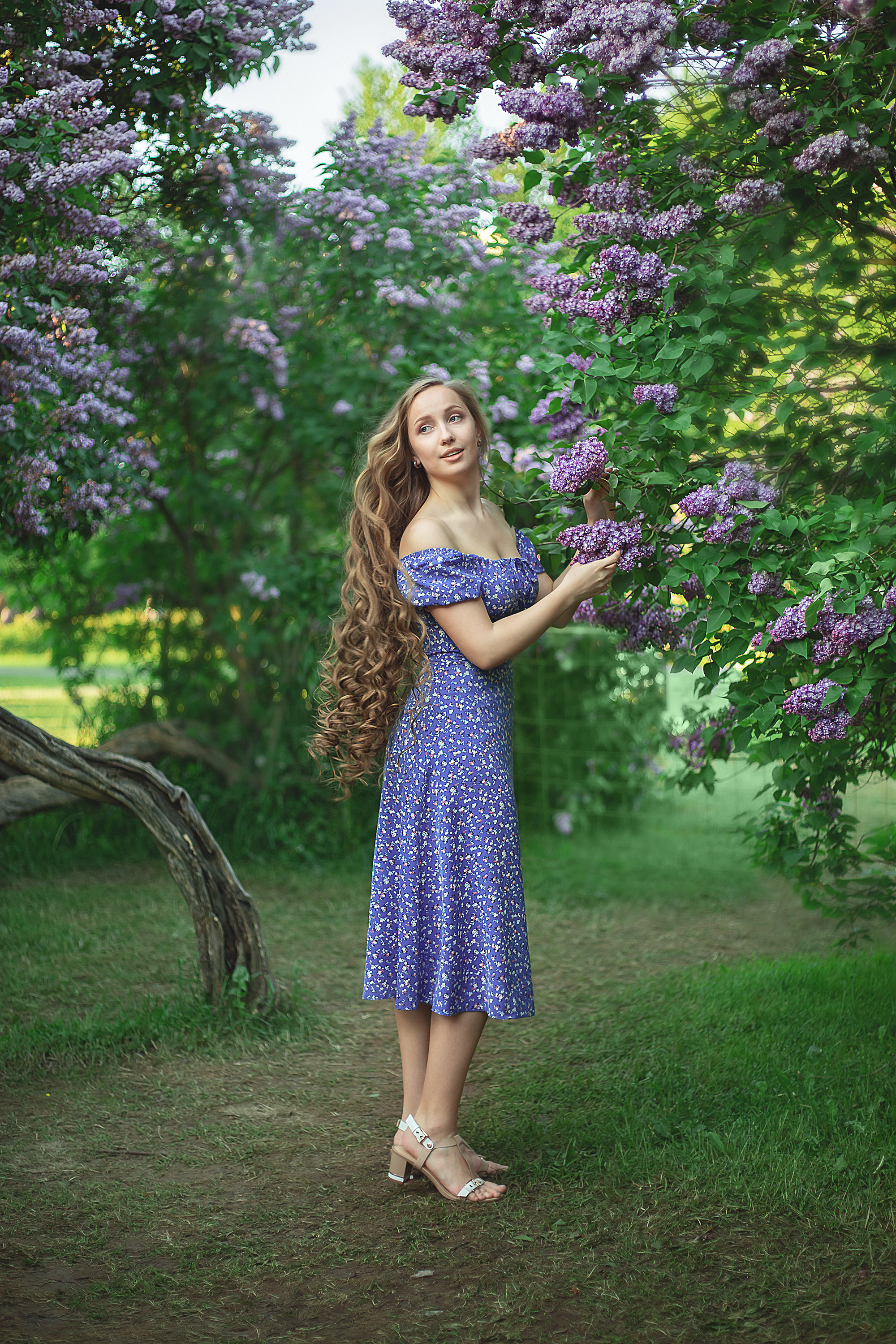 Услуги. Семейный фотограф Москва