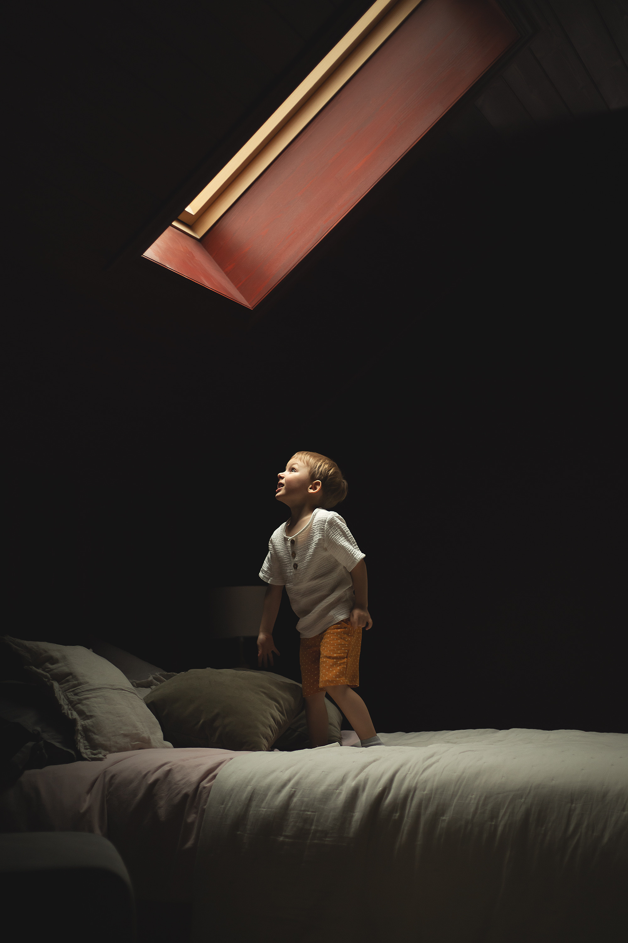 Услуги. Семейный фотограф Москва