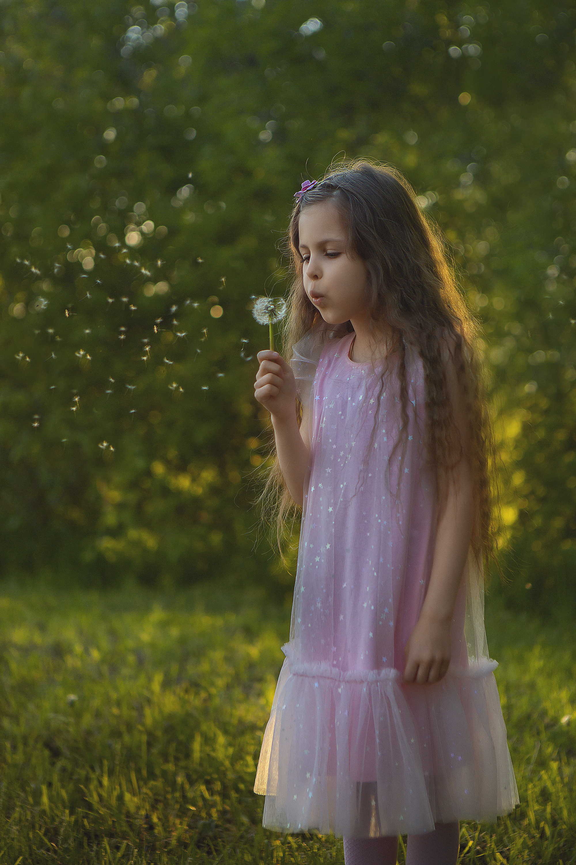 Услуги. Семейный фотограф Москва