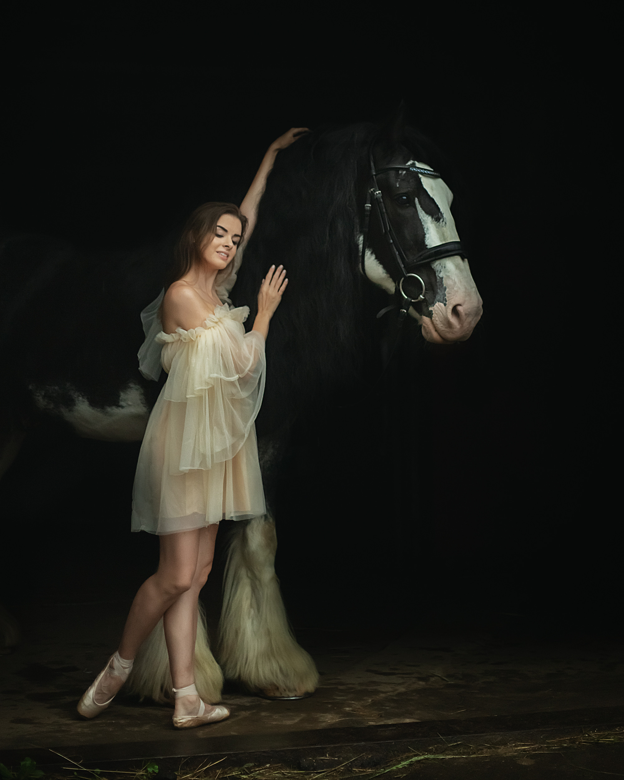 москва фотограф, фотосессия в москве, фотосессия с лошадью. фотосессия девушки, фотосессия в конюшне, фото девушки. лошадь. лошади красивые, черная лошадь, фотосессия с животными