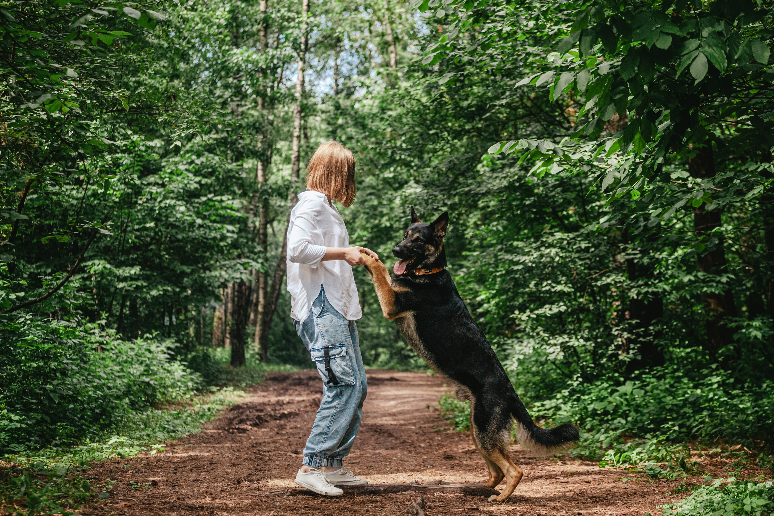 Лесная летняя фотопрогулка. Фотограф-анималист Татьяна Степанова