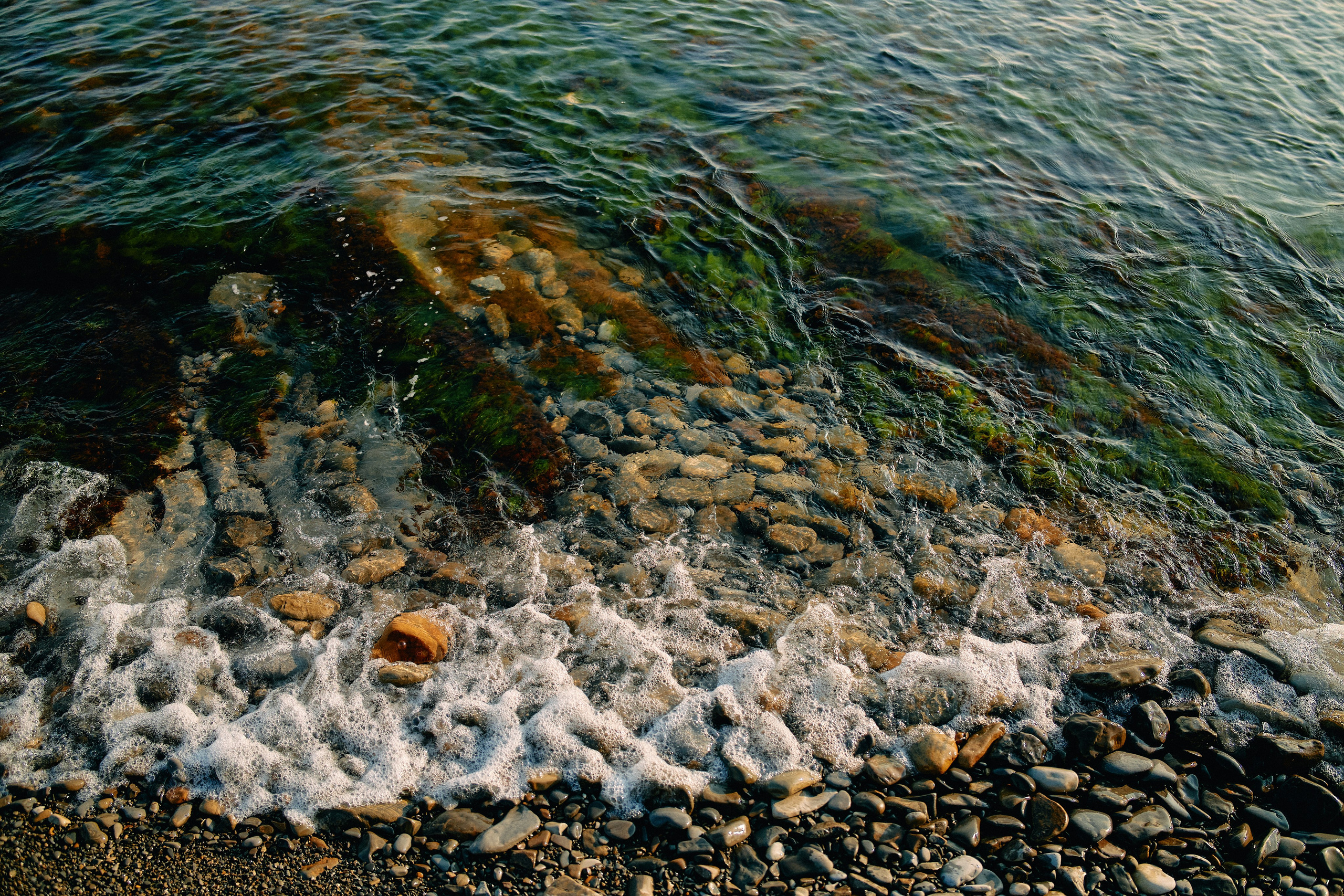 Юг России. Профессиональный Фотограф во Владимире, в Москве и в Суздале — Полина Романычева