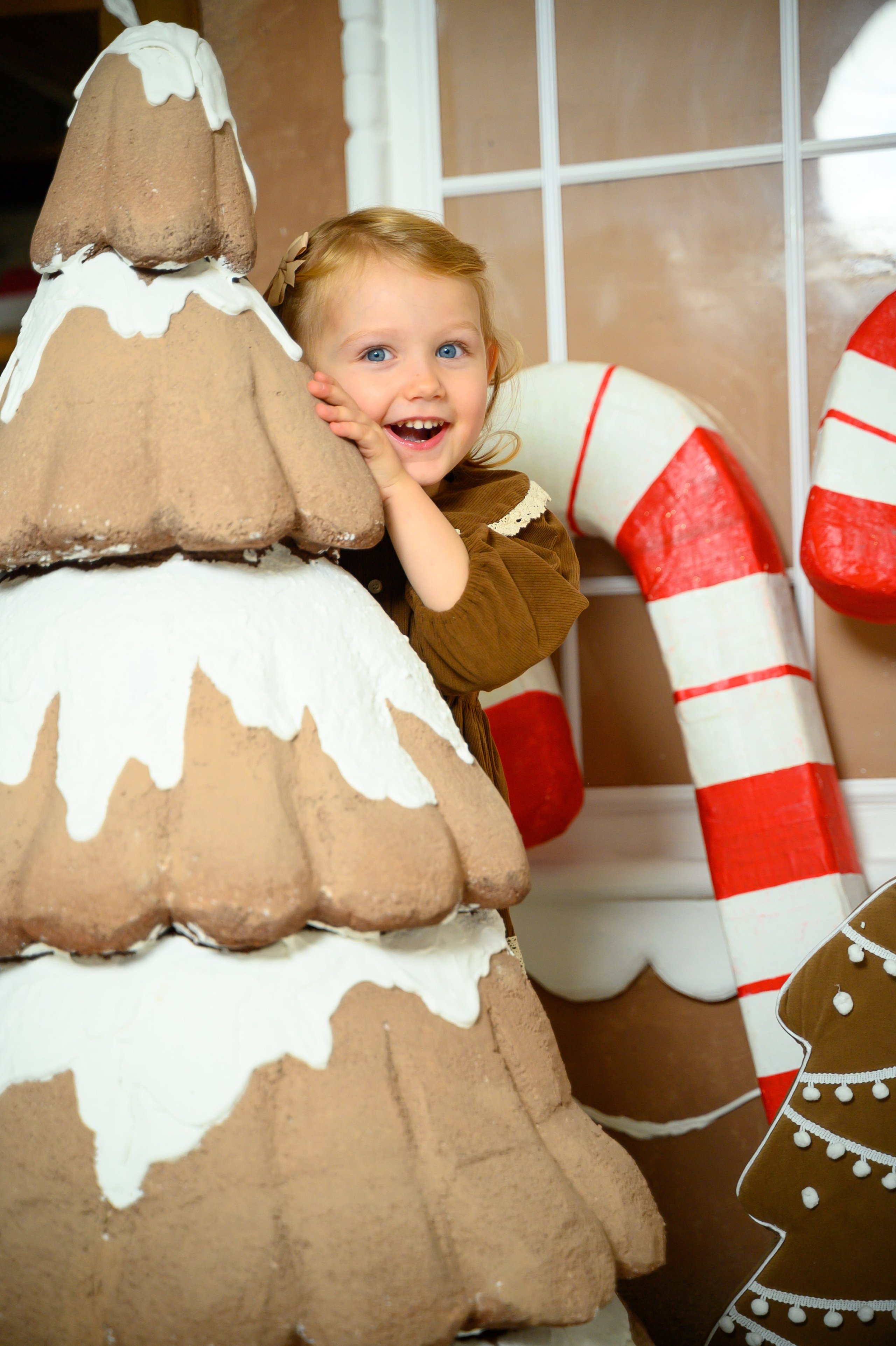 Пряничный Новый год 2025-26. Фотограф новорожденных, семейный детский в Тюмени Татьяна Морозова