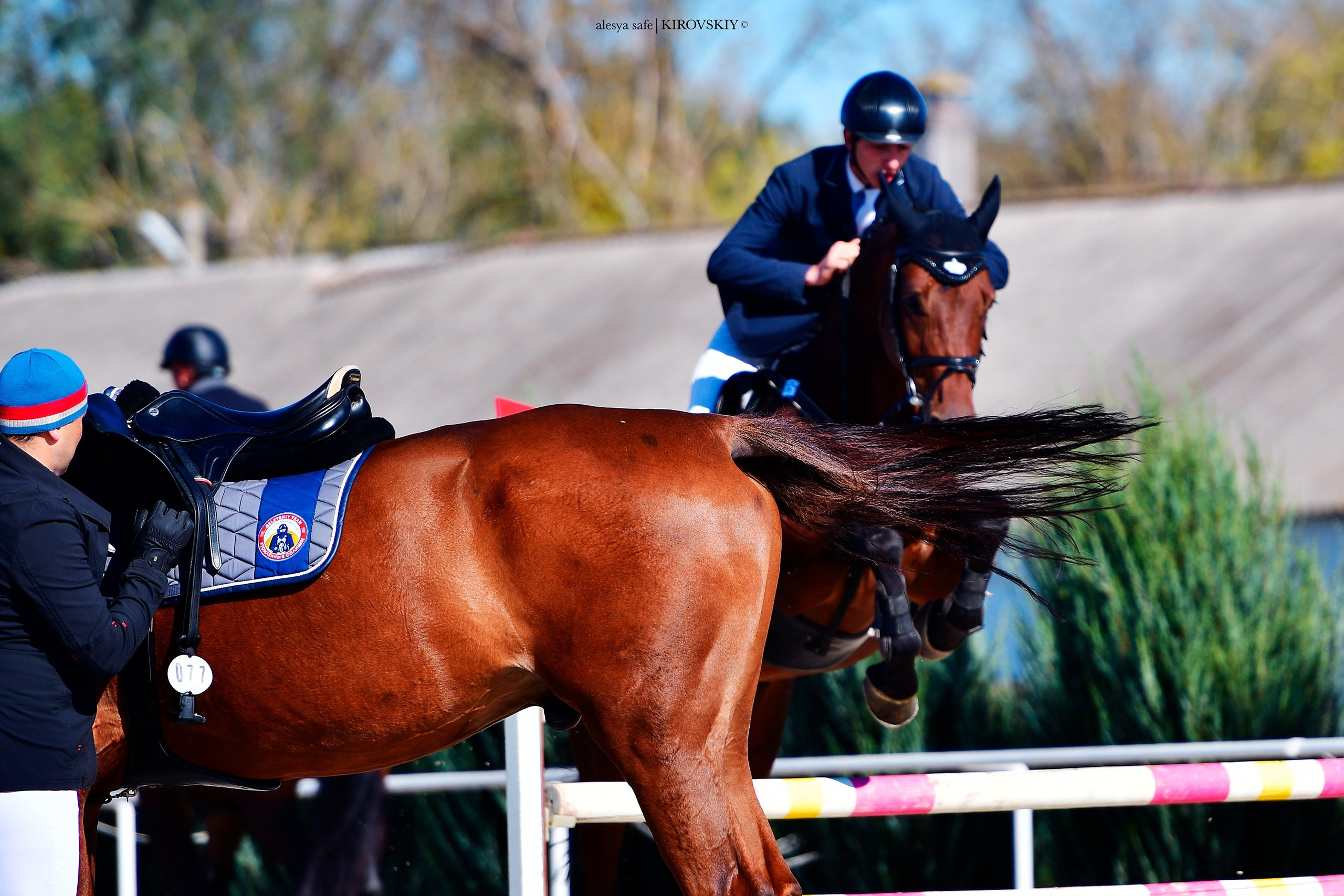 Кировский конный завод. Конный фотограф Alesya Safe