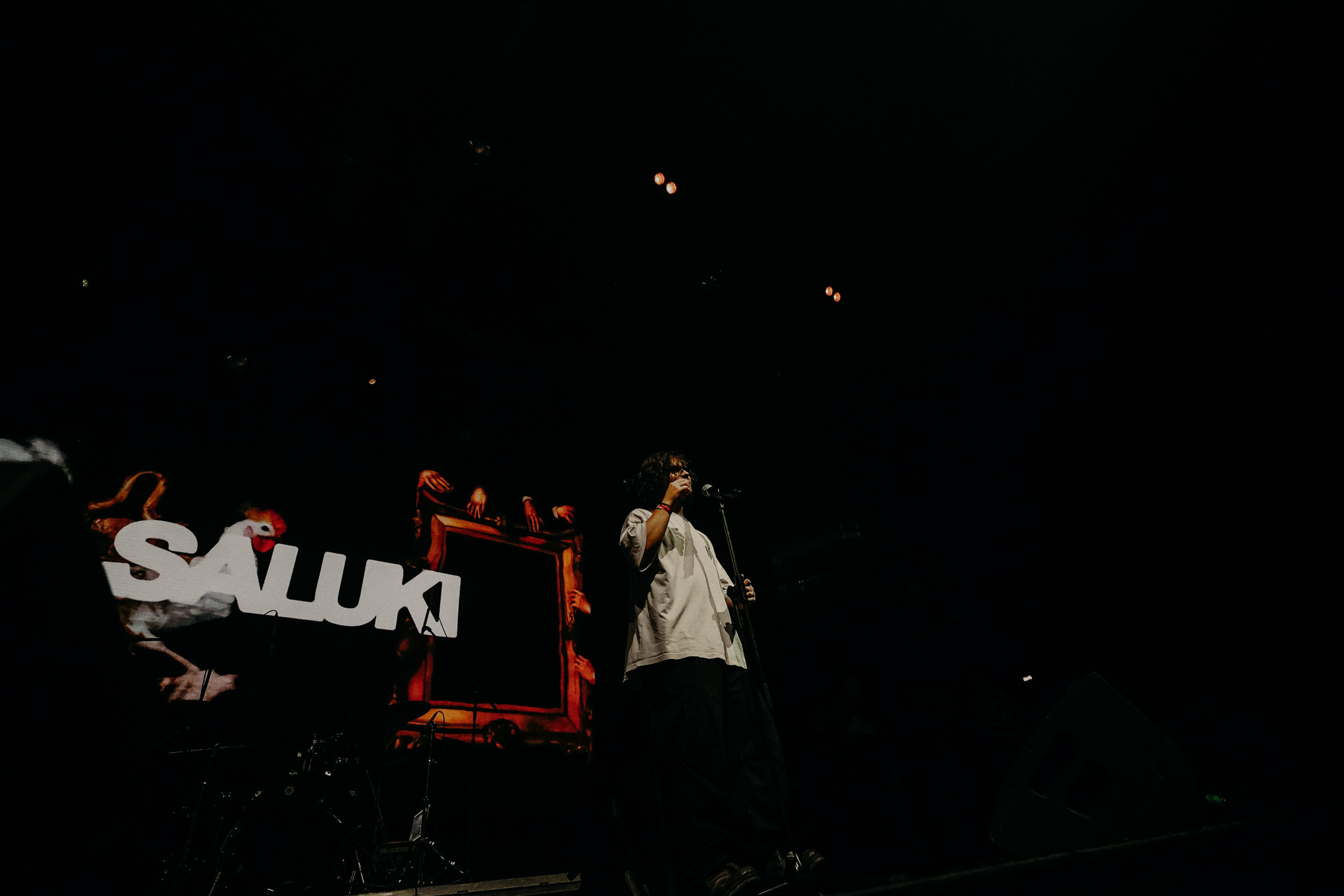 САЛУКИ @1930MOSCOW