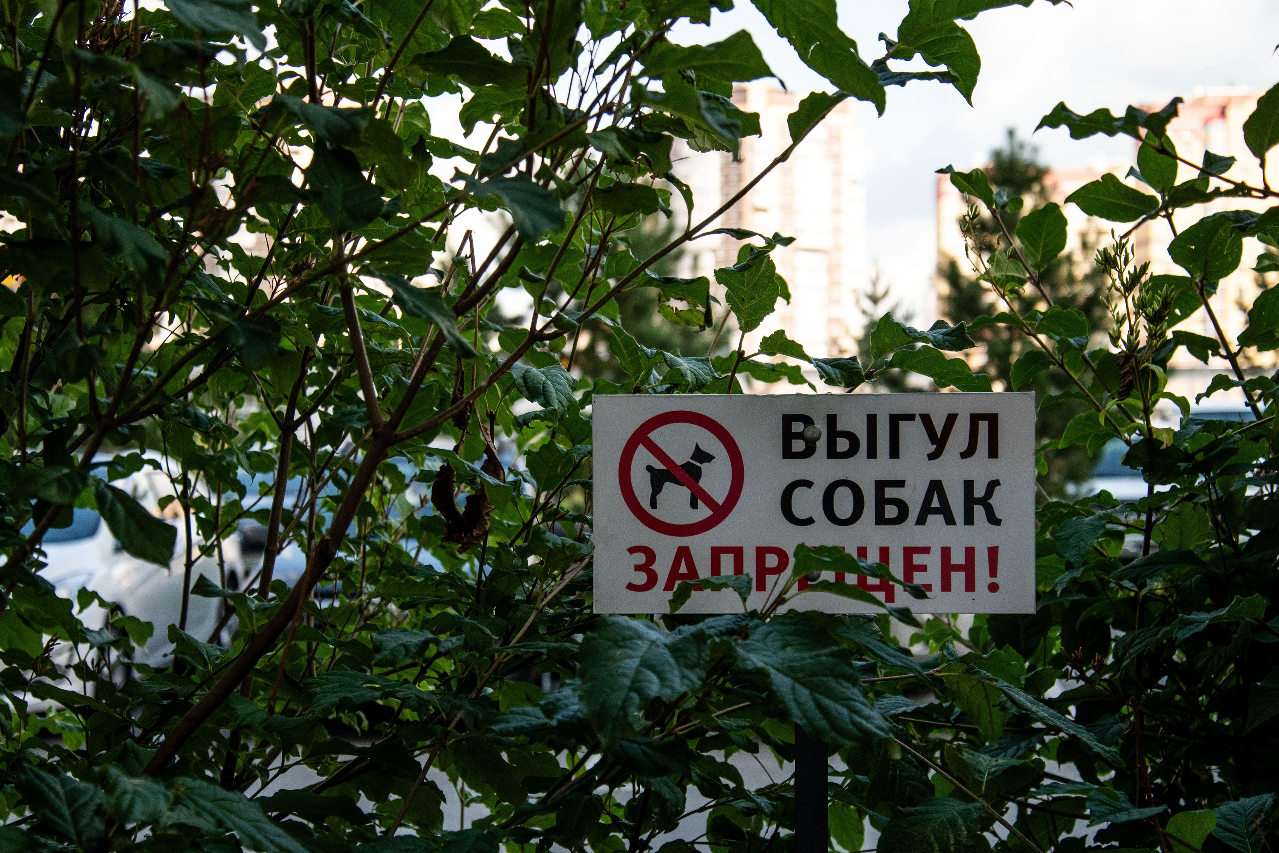 Съемка района Новопатрушево. Фотографы в Тюмени Андрей и Лидия Войвод