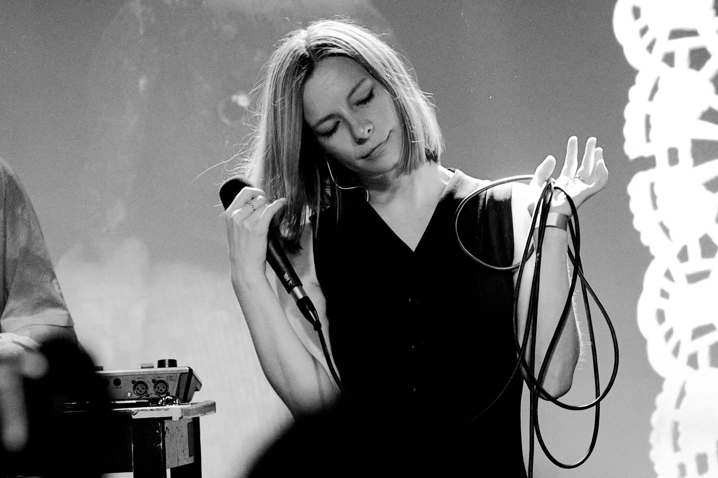 Порез на собаке. Фотограф Юлия Маринина