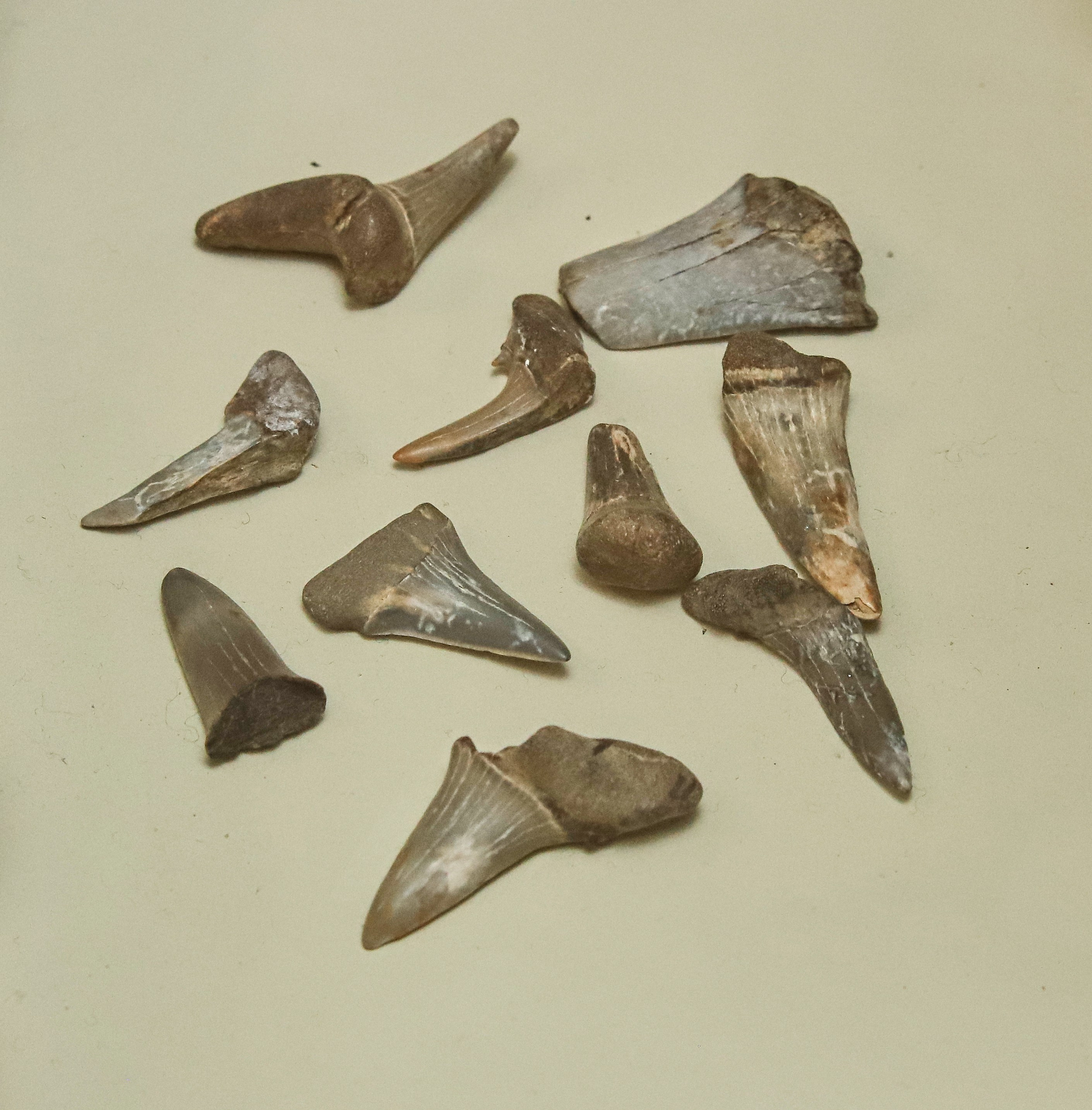 Каменная летопись. Фотограф Юлия Маринина