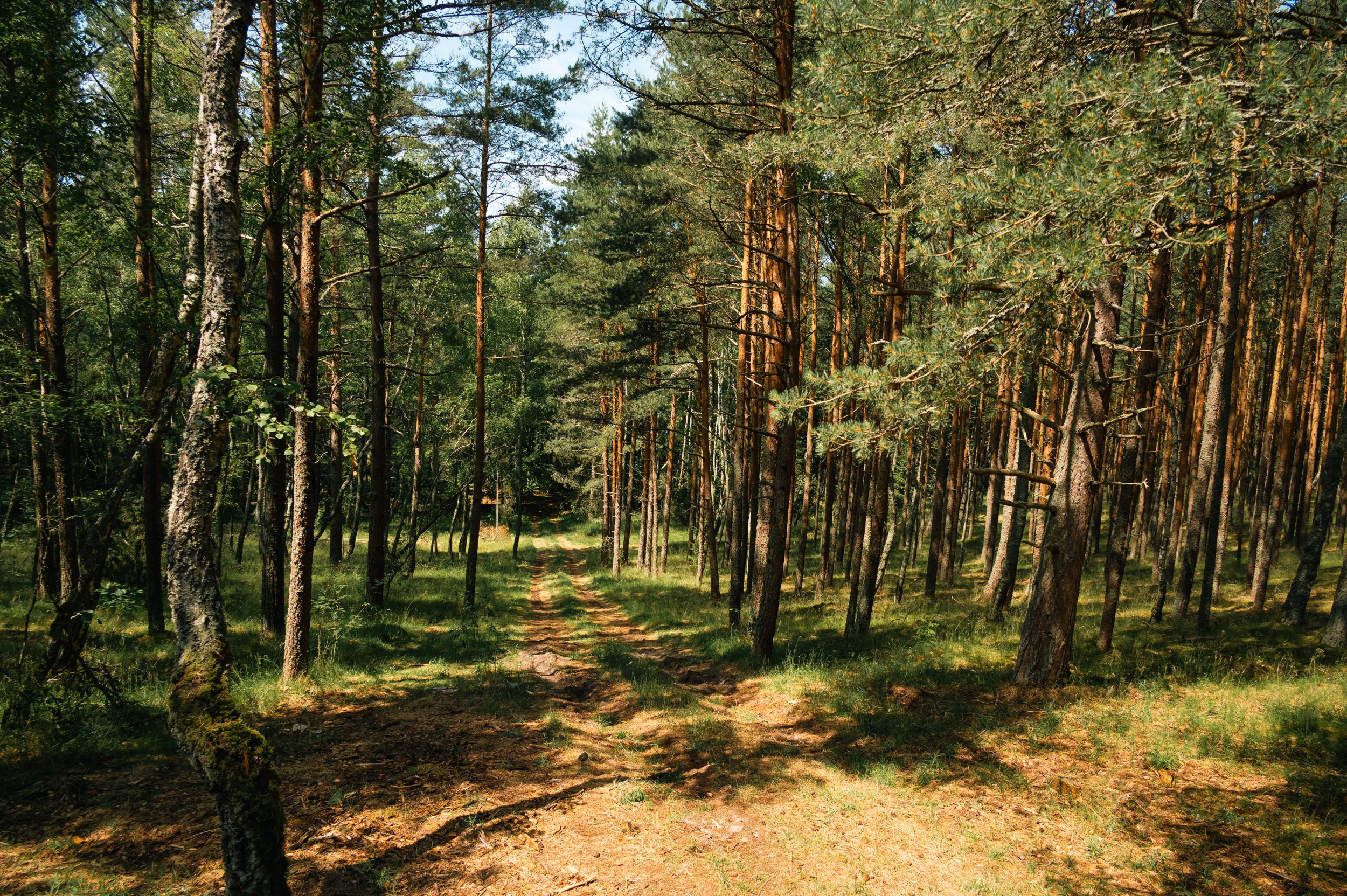 Куршская коса. Фотограф и видеооператор в Туле | Даниил Рыбак