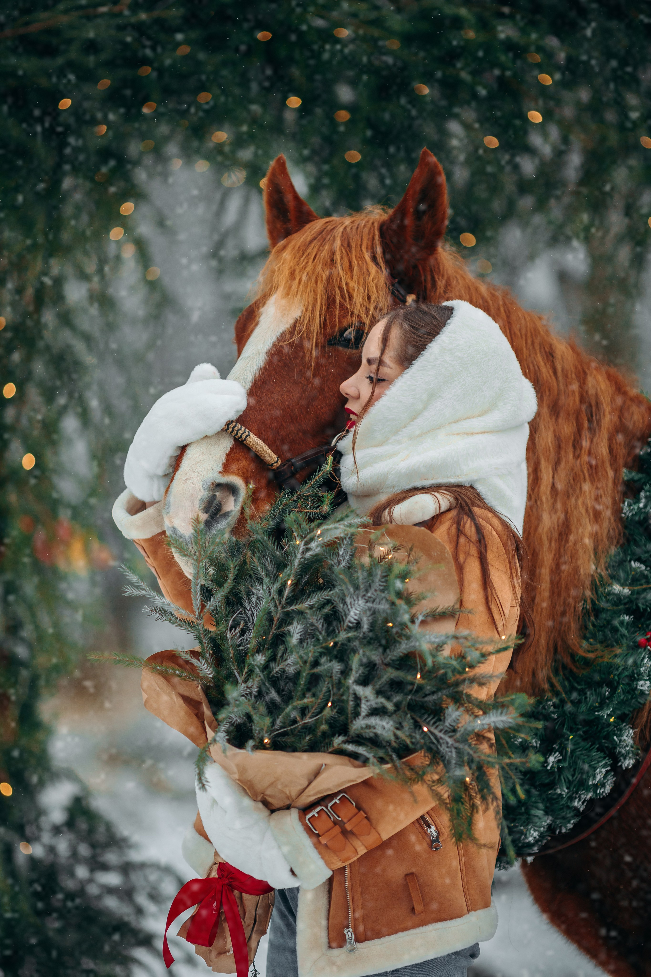 Тариф Новогодний 2025-2026. Анна Молчанова конный фотограф в Тюмени | фотосессии с лошадьми Тюмень