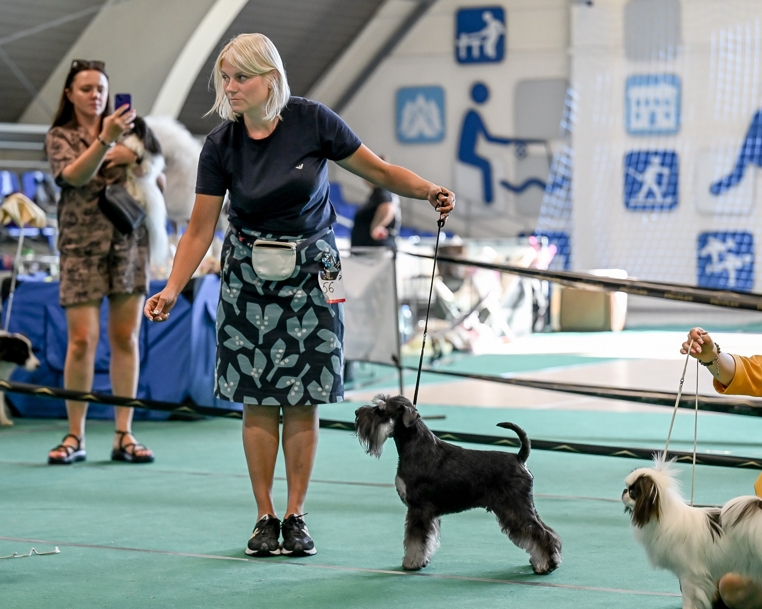 Цафир⚡️DELINSO BALANCE СZAFIR LUMIER