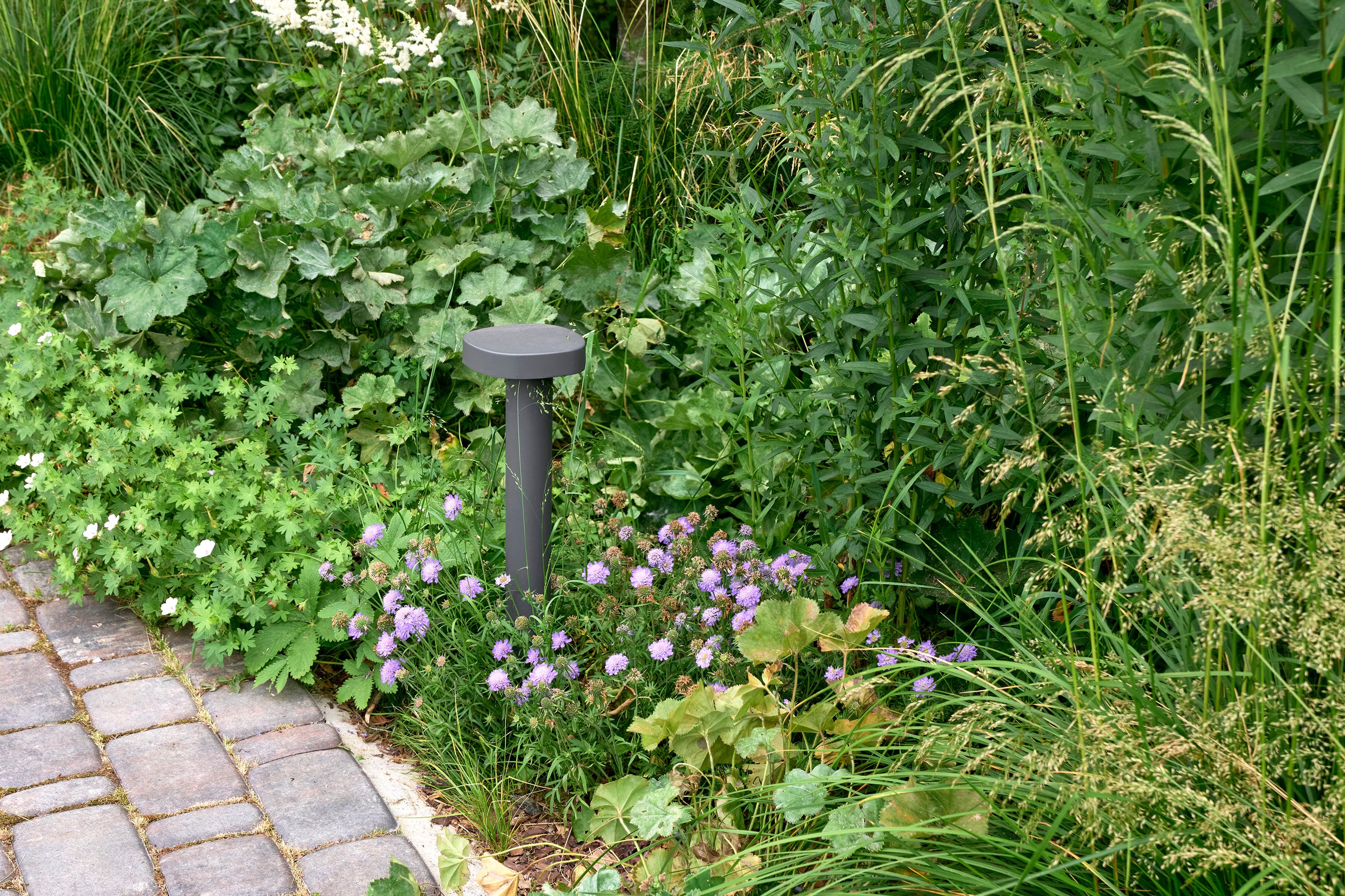 Ландшафтный и интерьерный фотограф Наталья Соловьева. Фотосъемка частного сада в&nbsp;Ломоносовском районе для ландшафтного дизайнера Анаит Акопян и&nbsp;студии ВСЕВСАД | interioto