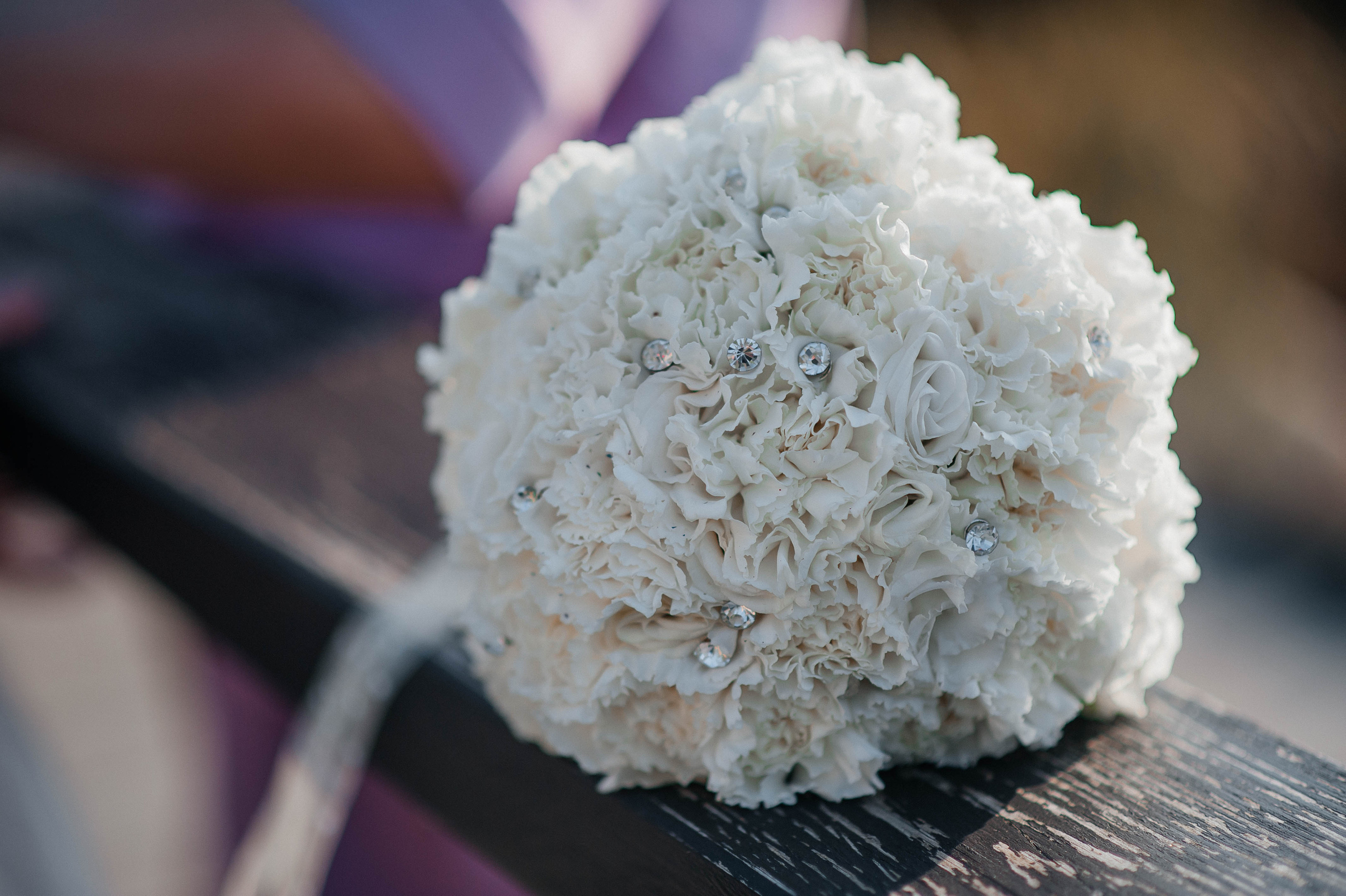 Сезон 2022. Семейный фотограф в городе Сыктывкаре