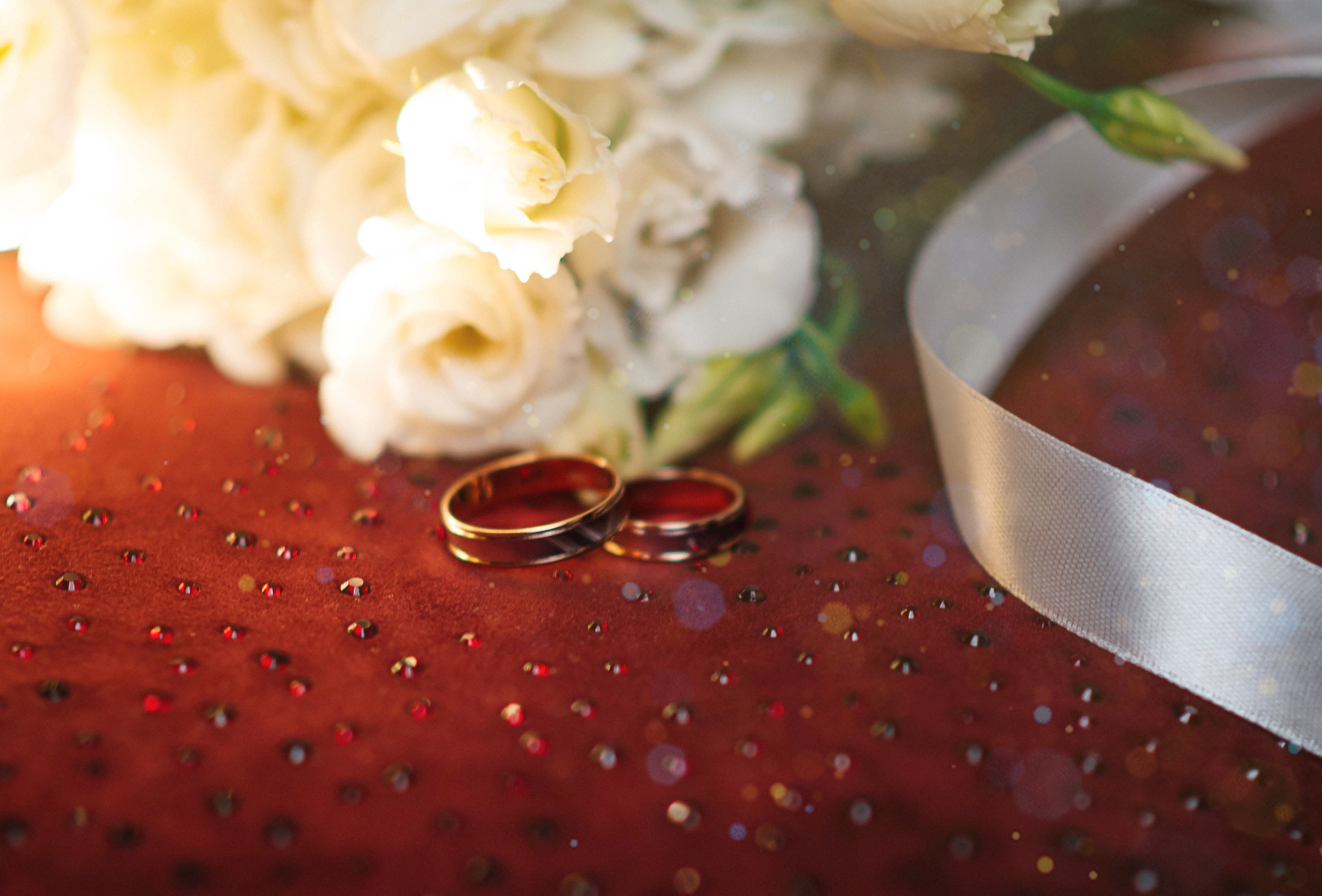 Сезон 2023. Семейный фотограф в городе Сыктывкаре