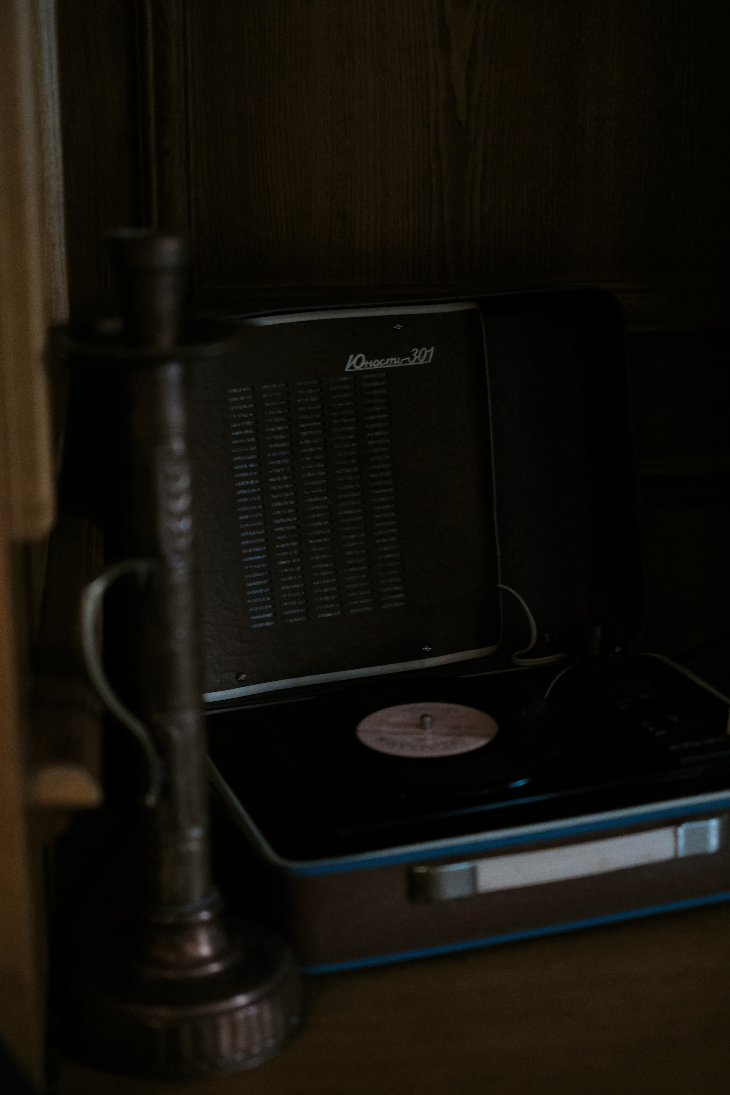 Они любили Jojo и боялись фотографироваться. Wed Photographers 📷 Saint Petersburg